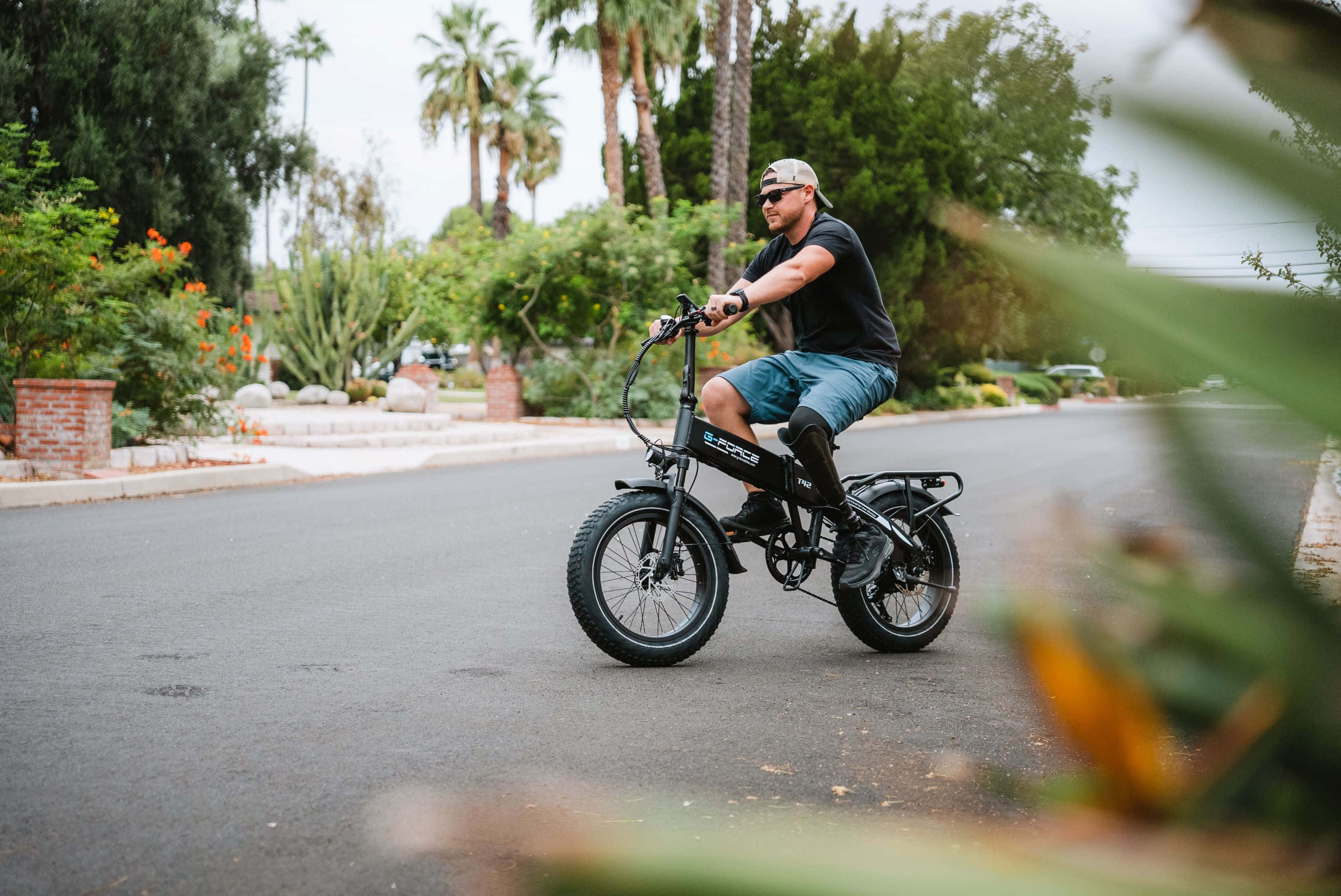 Electric Bike 桌布 壁紙 — 一名男子騎著黑色電動自行車，沿著棕櫚樹成蔭的郊區街道行駛，兩旁綠意盎然，還有橙色花朵。
