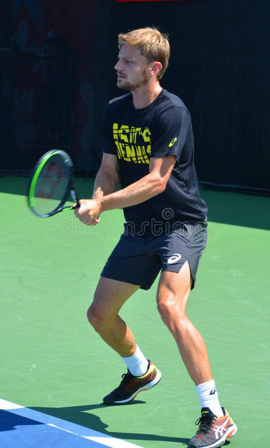 Tennis 桌布 壁紙 — 一名男性網球運動員在明亮的陽光下於充滿活力的綠色球場上移動。