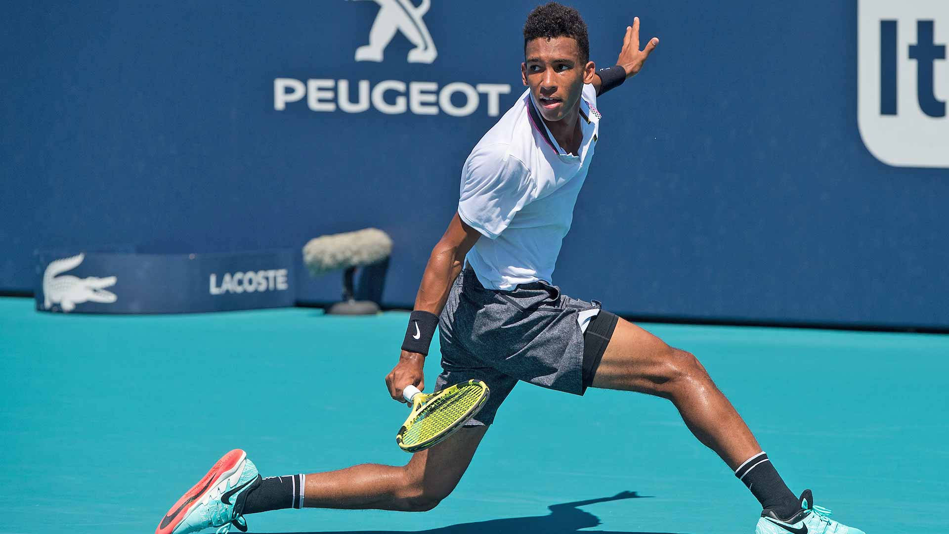 felix auger aliassime 桌布 壁紙 — 一名男性網球運動員在晴朗日光下，在明亮的藍色球場上向前撲出，身後有品牌牆壁。