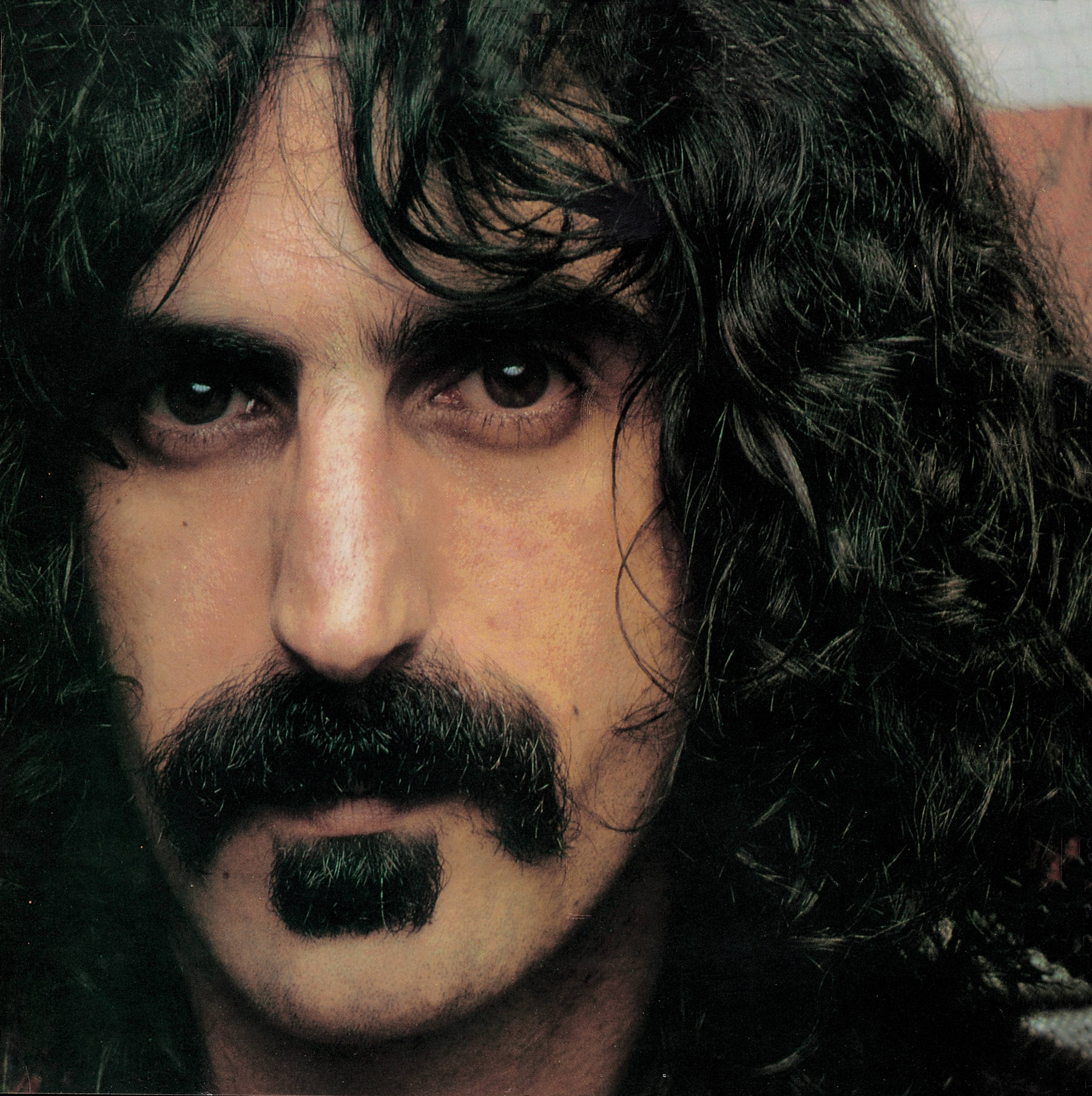 Zappa 桌布 壁紙 — 一名留著深色長捲髮和濃密鬍鬚的男子近距離肖像，正強烈地凝視著觀眾。
