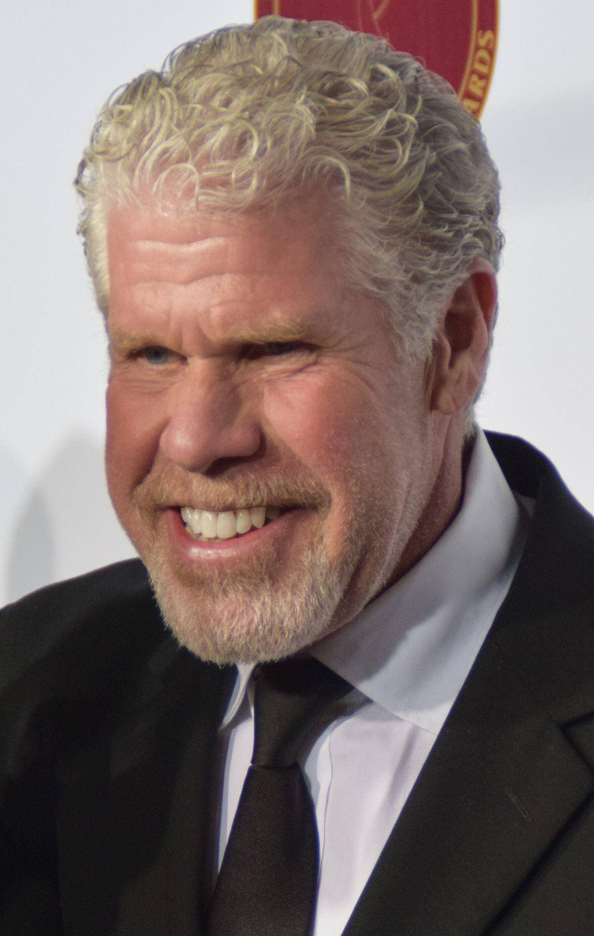 Celebrity 桌布 壁紙 — 一名留著灰色捲髮和鬍鬚的男子，身穿黑色西裝打領帶，咧嘴大笑的特寫。