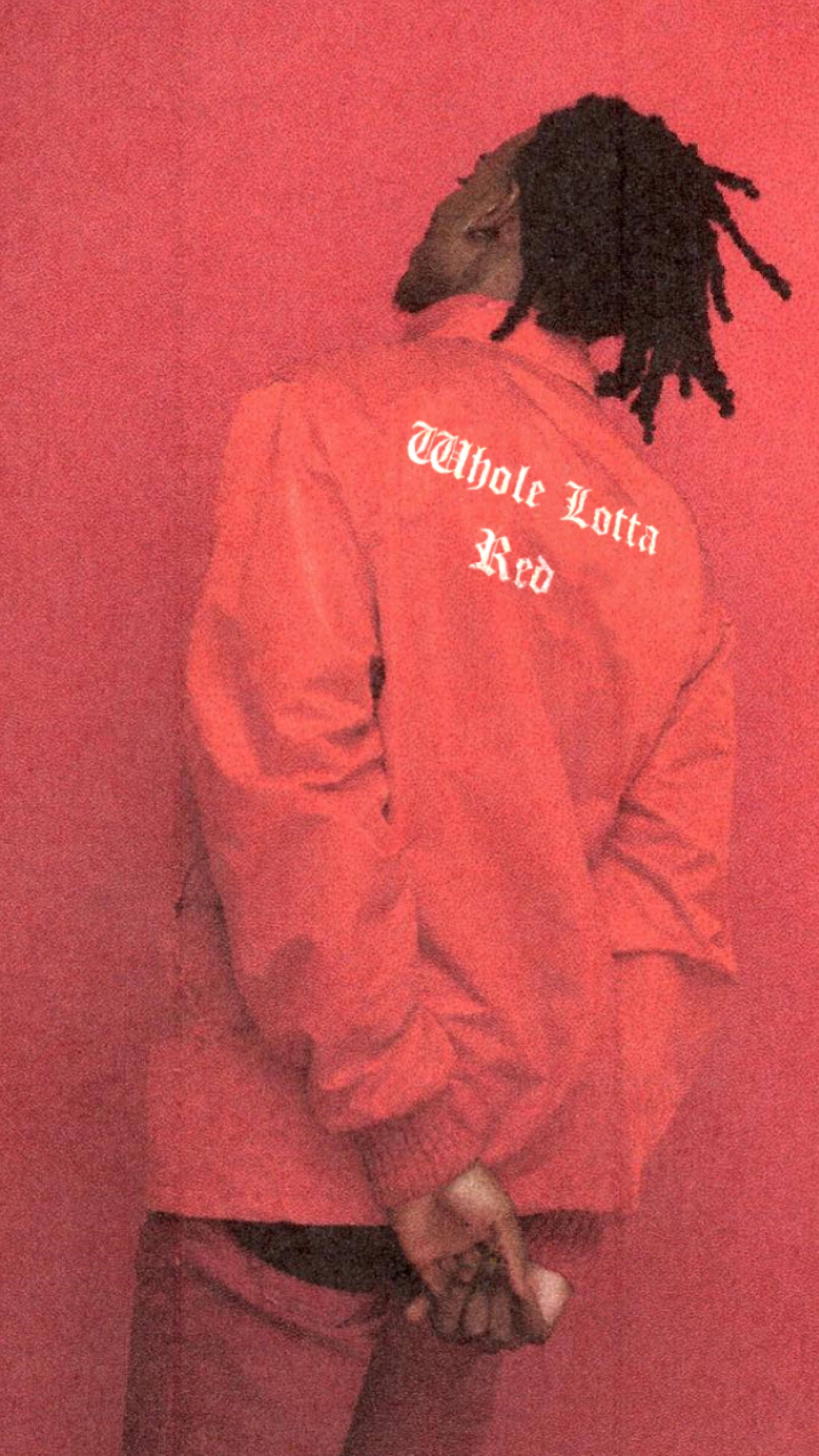 Carti 桌布 壁紙 — 一名留著辮子的人背光站在單色紅色的房間裡，穿著一件相配的紅色外套，背面有白色文字。