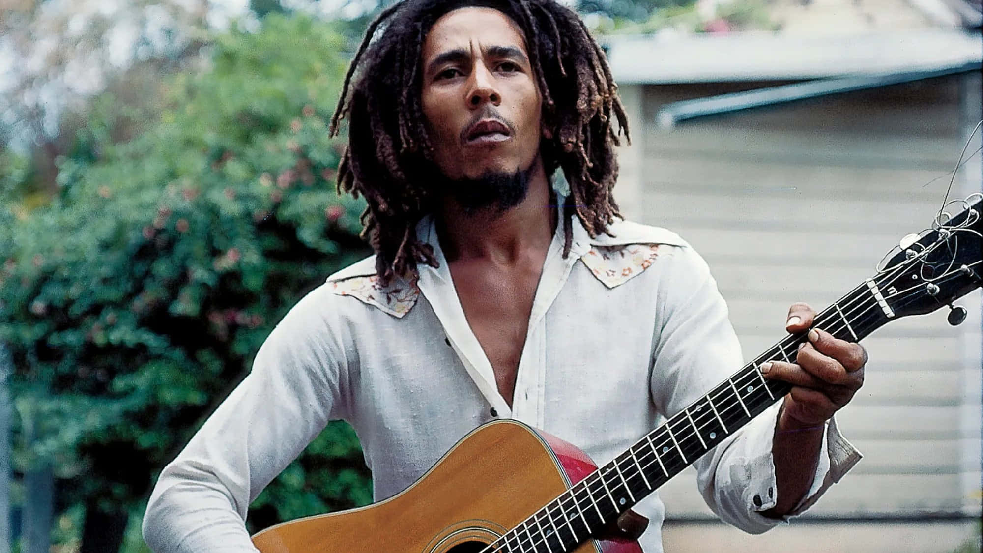 Bob Marley 桌布 壁紙 — 一名留著辮子頭的男人在戶外彈奏木吉他，背景有綠色植物和一所房子。