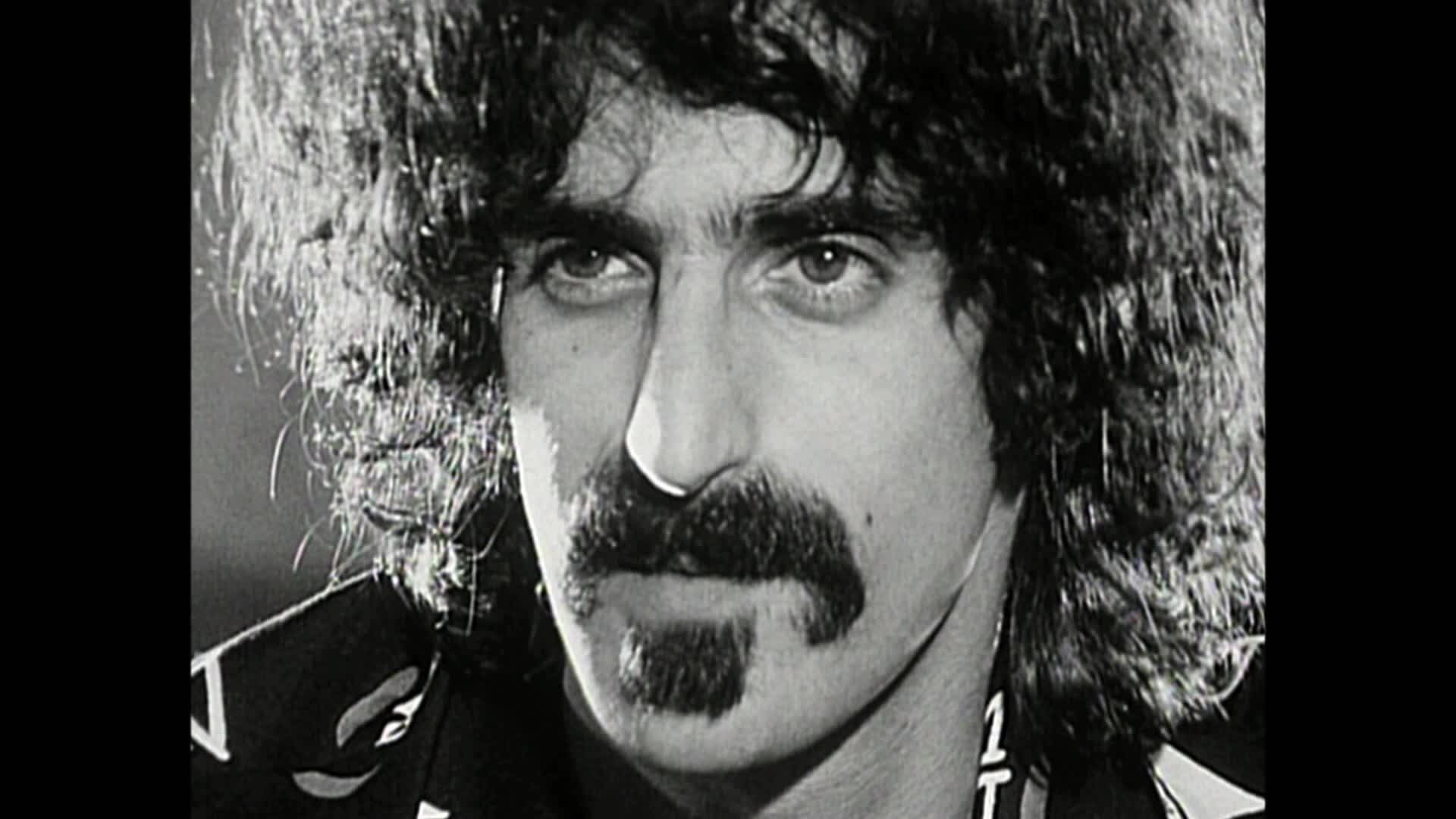 Zappa 桌布 壁紙 — 一名留著長捲髮和濃密鬍鬚的男子近距離黑白肖像，專注地凝視鏡頭。