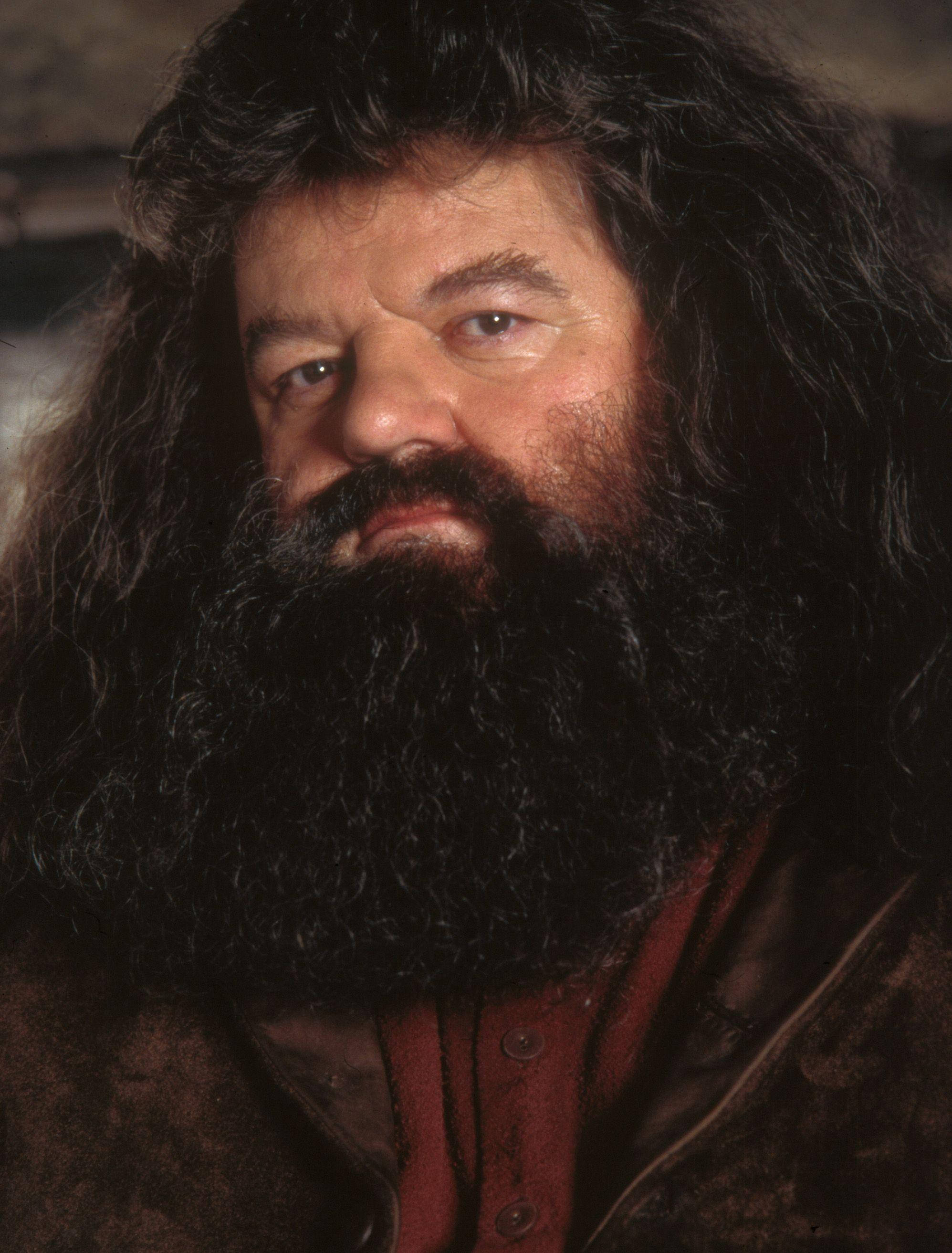 rubeus hagrid 桌布 壁紙 — 一名留著長黑髮和濃密鬍鬚的男士的特寫肖像，身穿棕色外套內搭紅色襯衫。