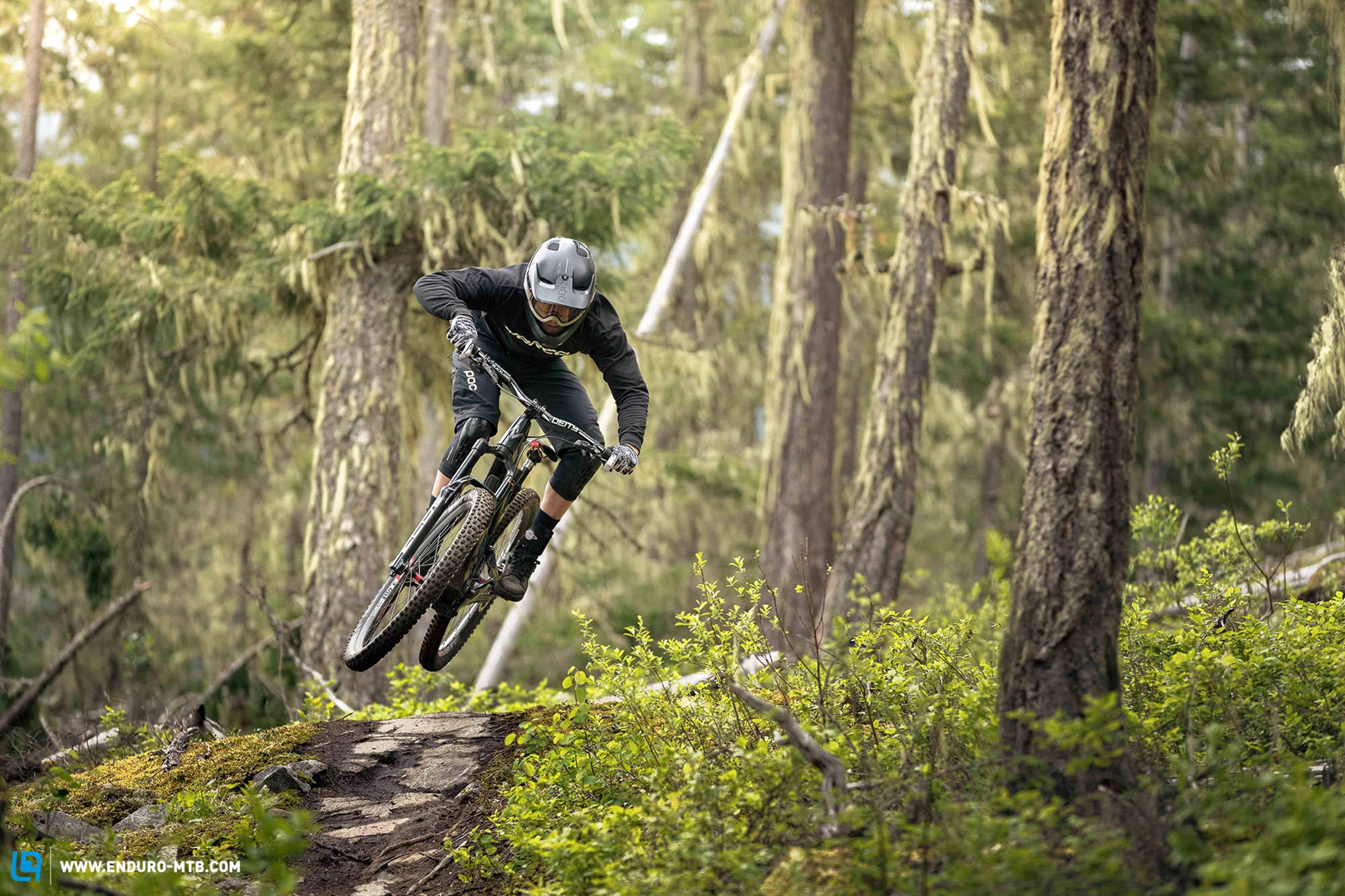 Mountain Bike 桌布 壁紙 — 一名登山車手在長滿苔蘚的森林小徑上飛躍，陽光穿過高大的樹木灑落。