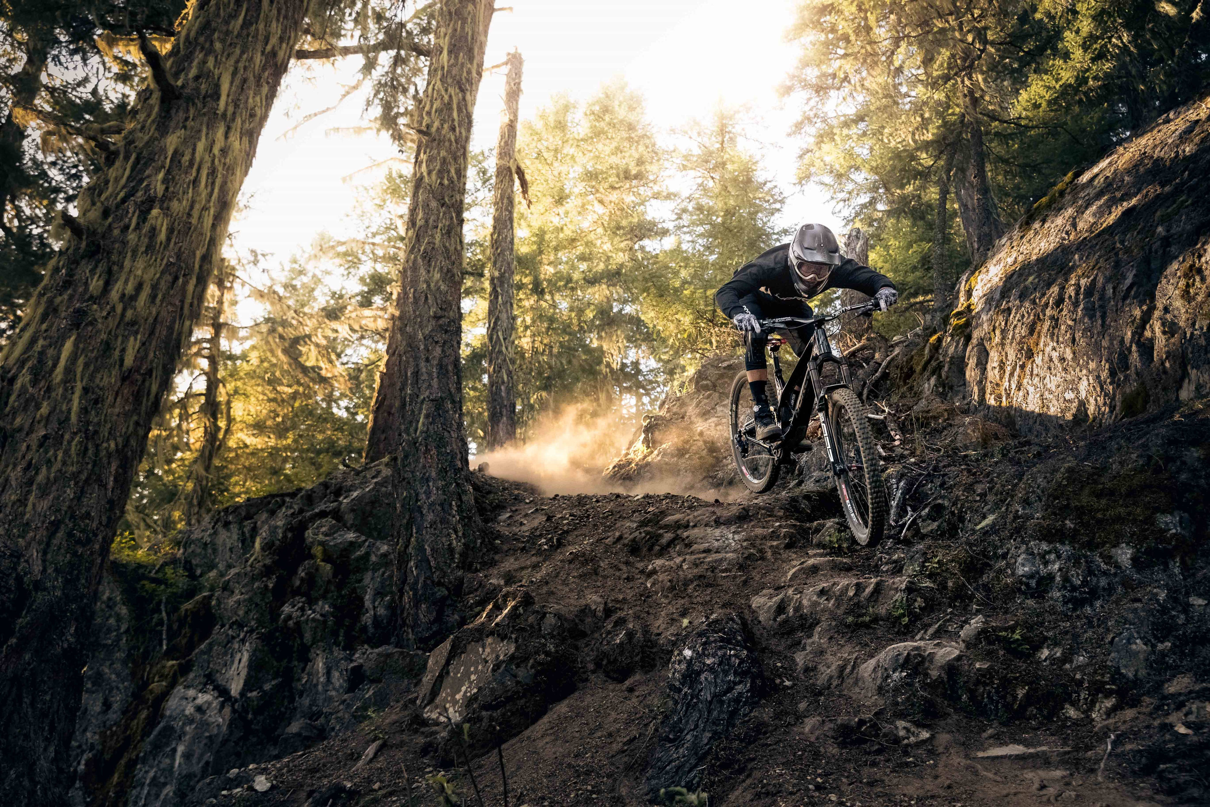 Mountain Bike 桌布 壁紙 — 一名登山車手在陽光明媚的森林小徑上飛馳而下，揚起灰塵，環繞著彎曲的樹木和岩石。