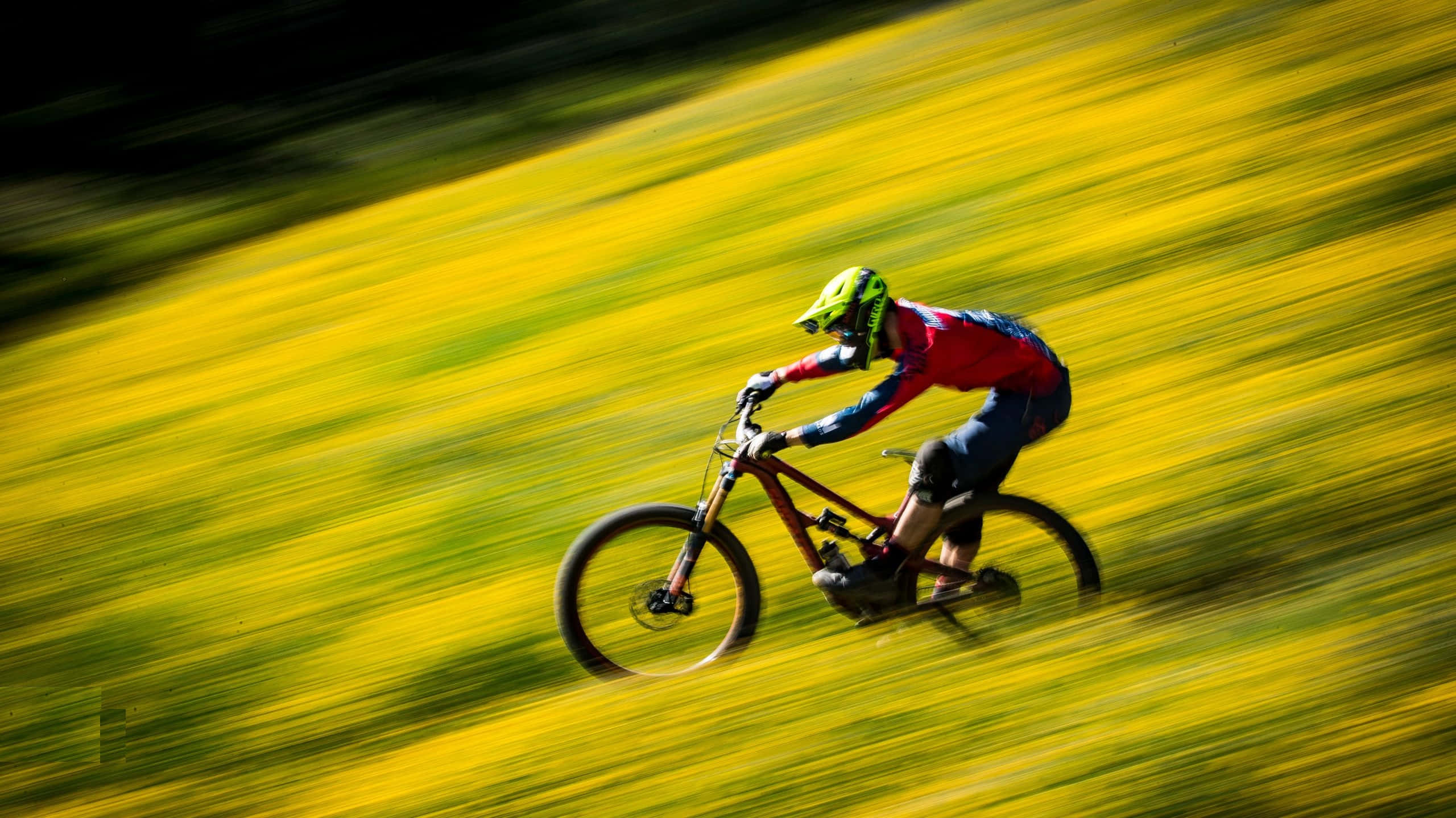 Mtb 桌布 壁紙 — 一名登山車騎士在充滿活力的黃色田野中奔馳，動態模糊強調了速度與能量。