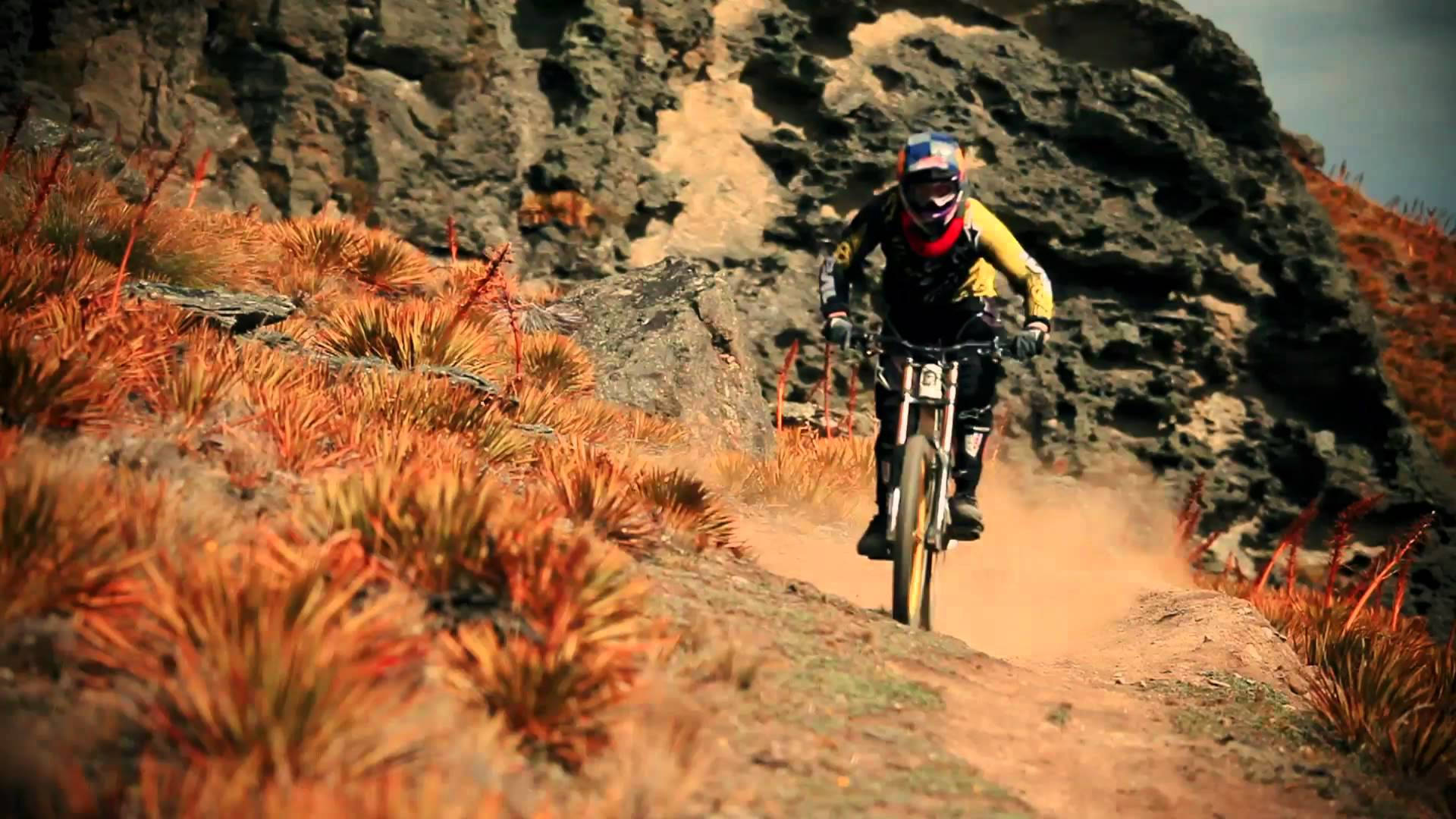 bike riding 桌布 壁紙 — 一名登山車騎士在崎嶇的岩壁背景下，沿著塵土飛揚的小徑穿過充滿活力的橙色草叢飛馳而下。