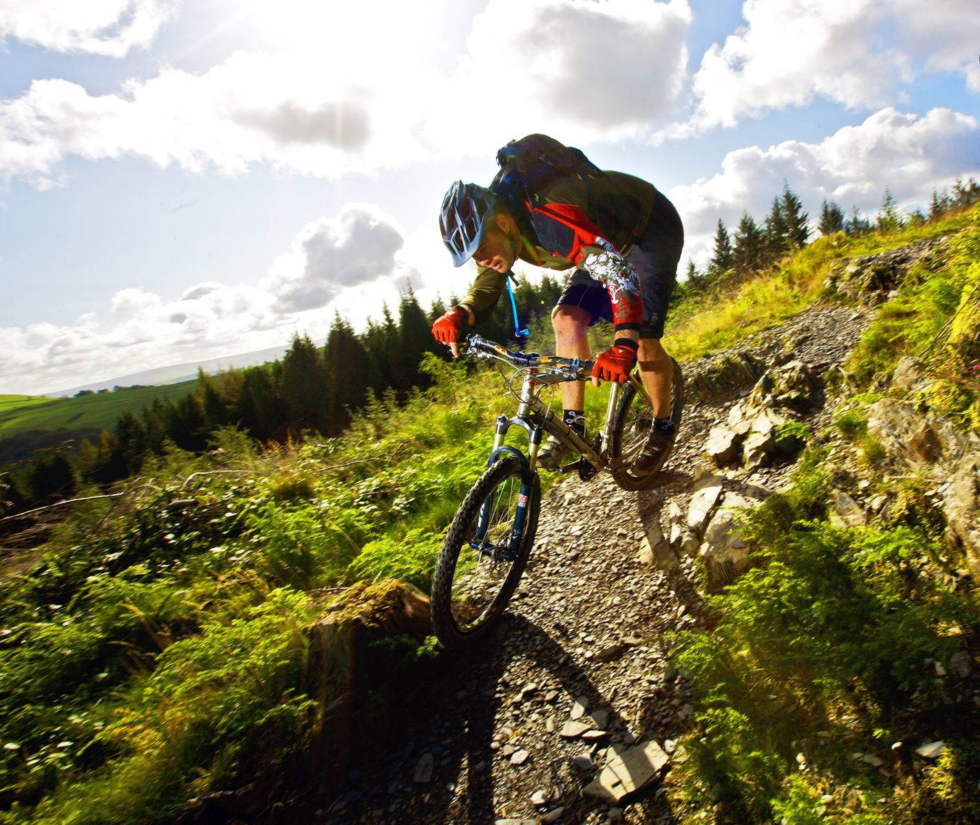 Mountain Bike 桌布 壁紙 — 一名登山車騎士在明亮的陰天天空下，在茂密綠色森林中的岩石小徑上急轉彎時身體傾斜。