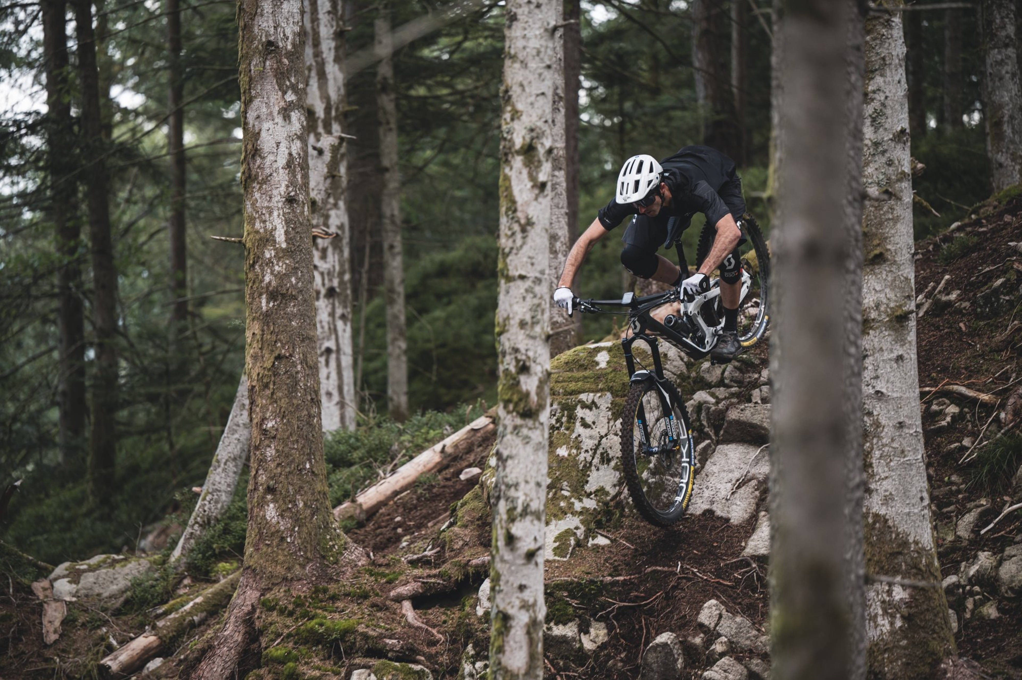 Mountain Bike 桌布 壁紙 — 一名登山車騎士在長滿苔蘚的樹木和岩石地形的茂密森林中傾身過急彎。