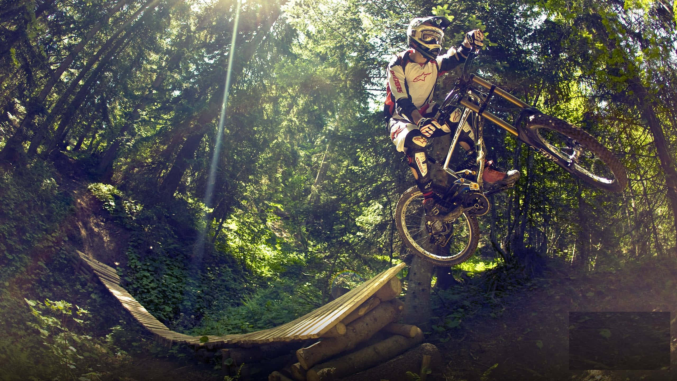 Mtb 桌布 壁紙 — 一名登山車騎士從木製跳台飛出，在空中穿過陽光灑落的森林樹冠。