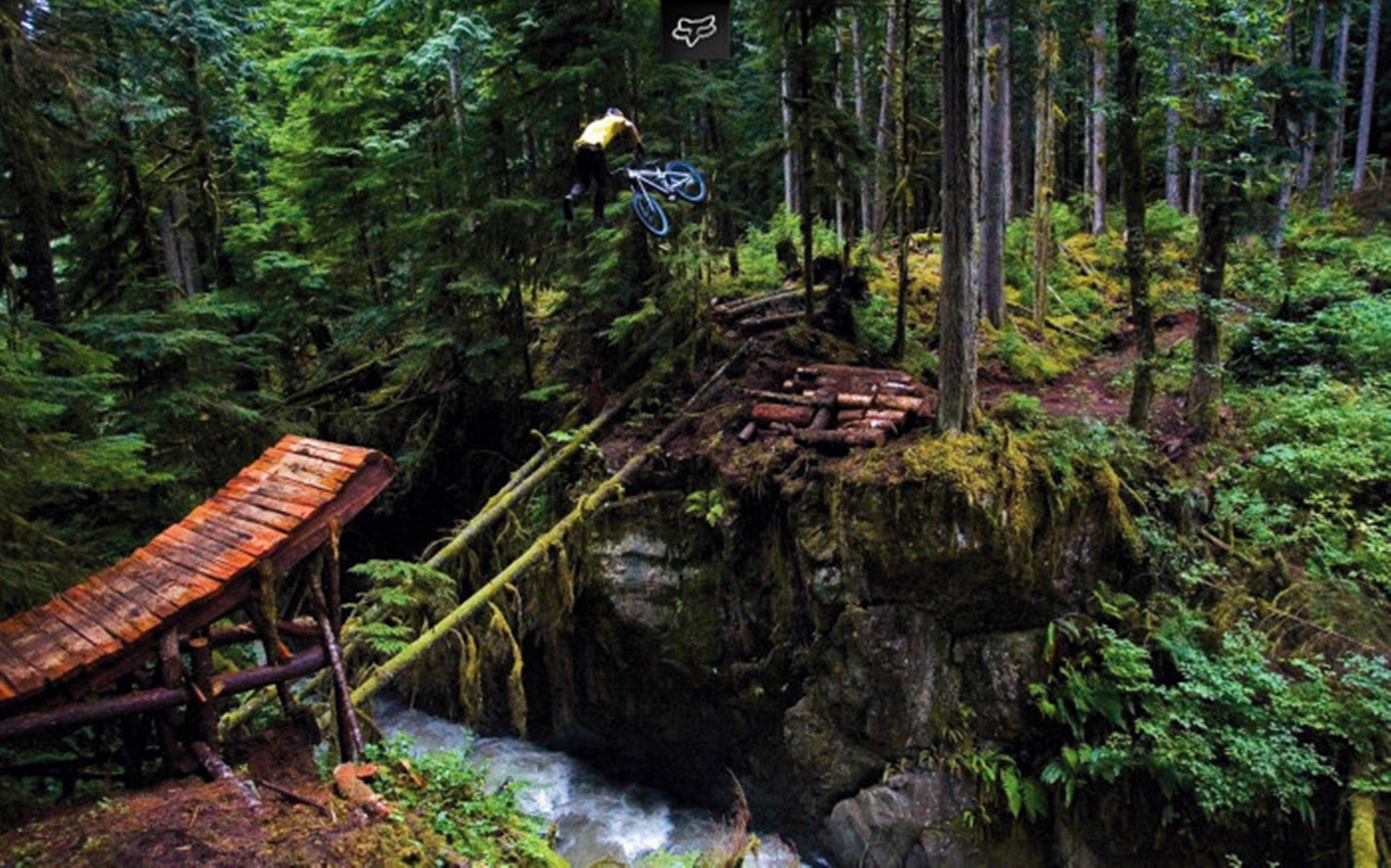 Washington 桌布 壁紙 — 一名登山車騎士飛越長滿苔蘚的森林峽谷，下方有木製坡道和湍急的溪流。