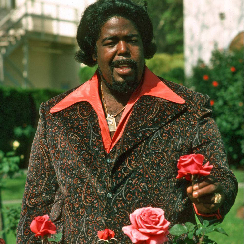 音樂 桌布 壁紙 — 一名穿著佩斯利西裝的男子在陽光明媚的花園中手持紅玫瑰，背景有綠色植物和建築物。