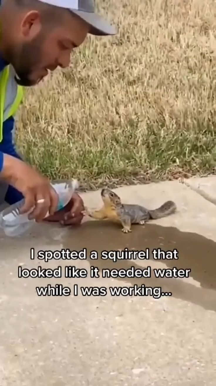 Funny Squirrel 桌布 壁紙 — 一名穿著安全背心的男子跪在陽光普照的人行道上，從瓶子裡倒水給一隻口渴的松鼠。