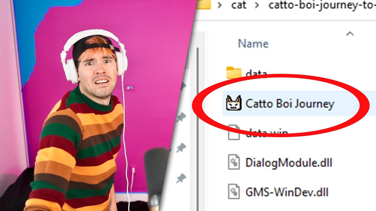 穿著條紋毛衣和耳機的男子對電腦螢幕上的「Catto Boi Journey」資料夾做出反應。 — Caity Lotz 動圖 壁紙