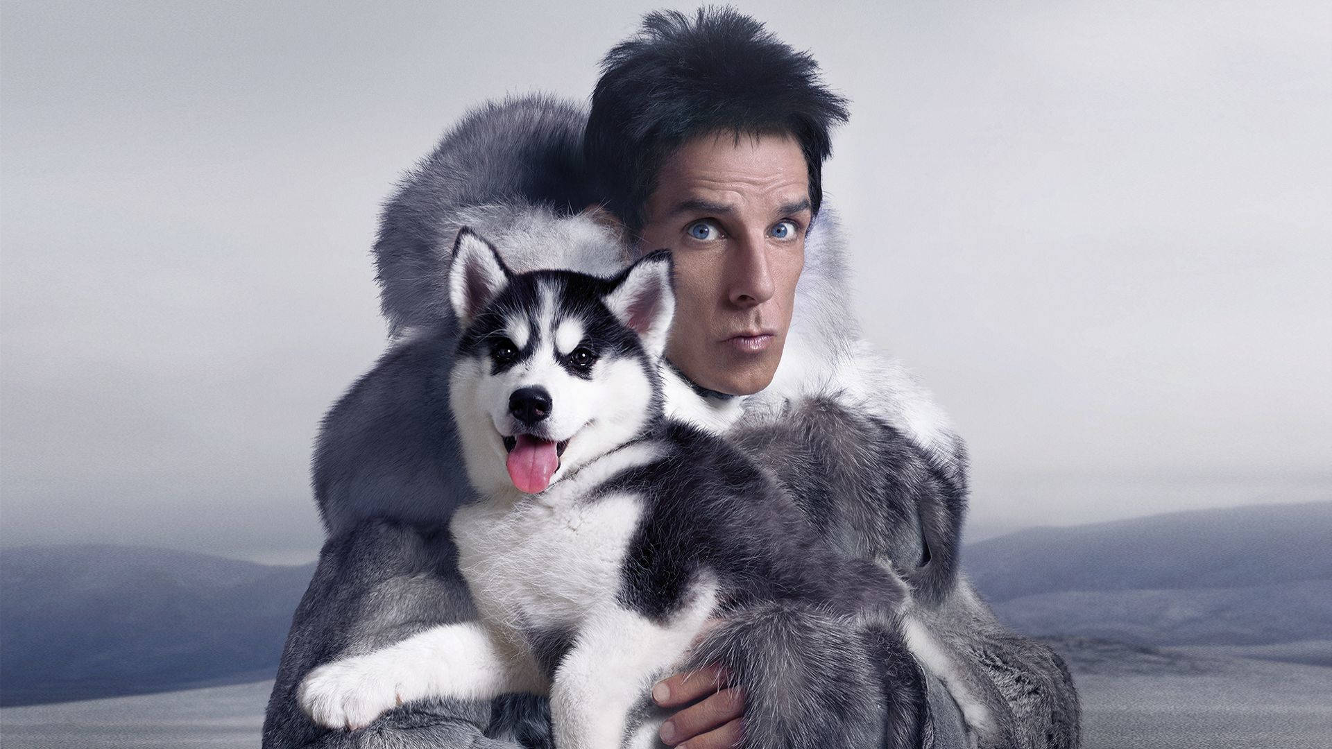 Ben Stiller 桌布 壁紙 — 一名穿著毛領外套的男子，在霧氣瀰漫的山景背景下，抱著一隻快樂的哈士奇幼犬。