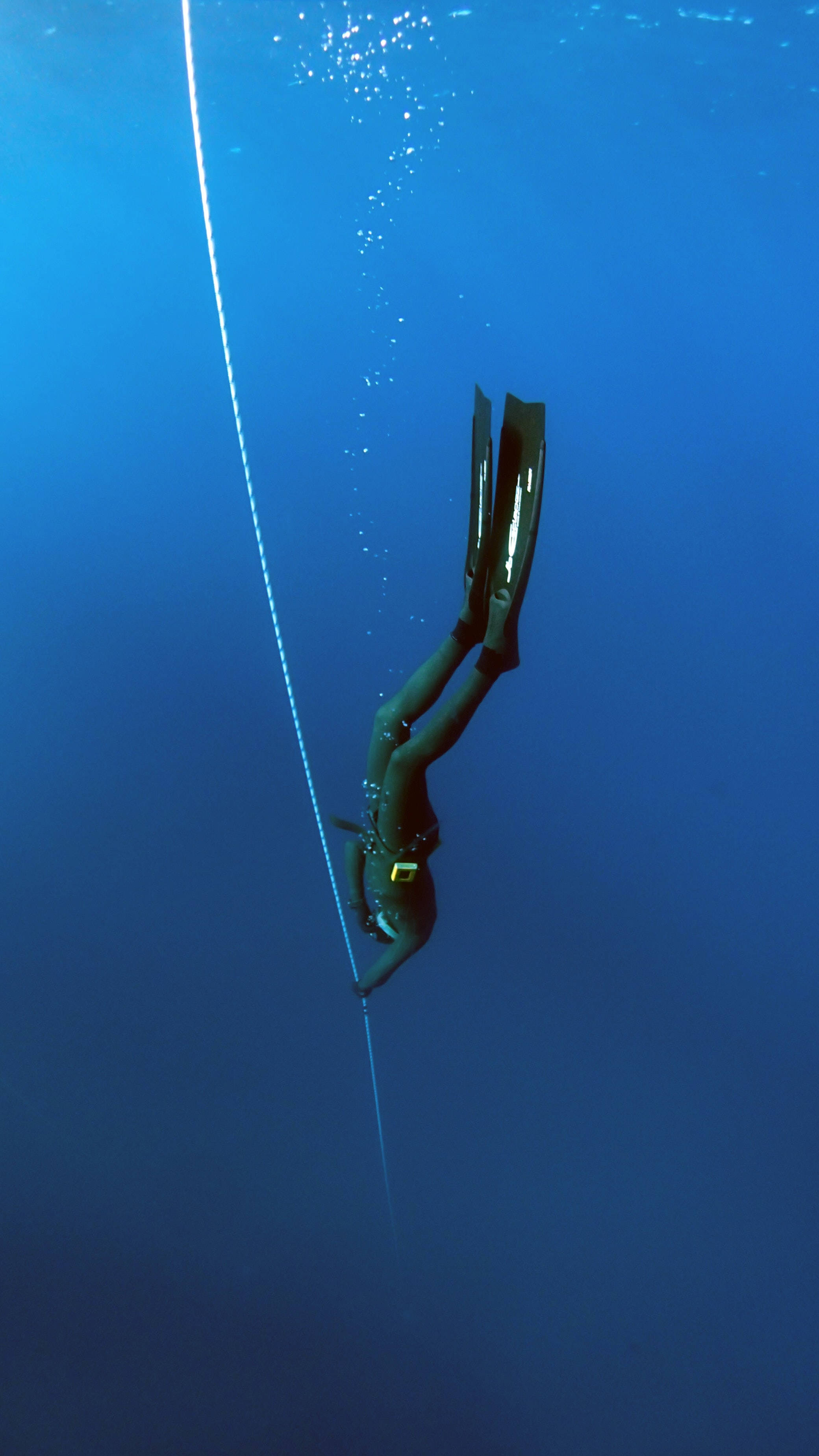 diving 桌布 壁紙 — 一名穿著深色裝備的潛水員垂直穿過清澈的藍色海水，沿著明亮的繩索留下一串氣泡。