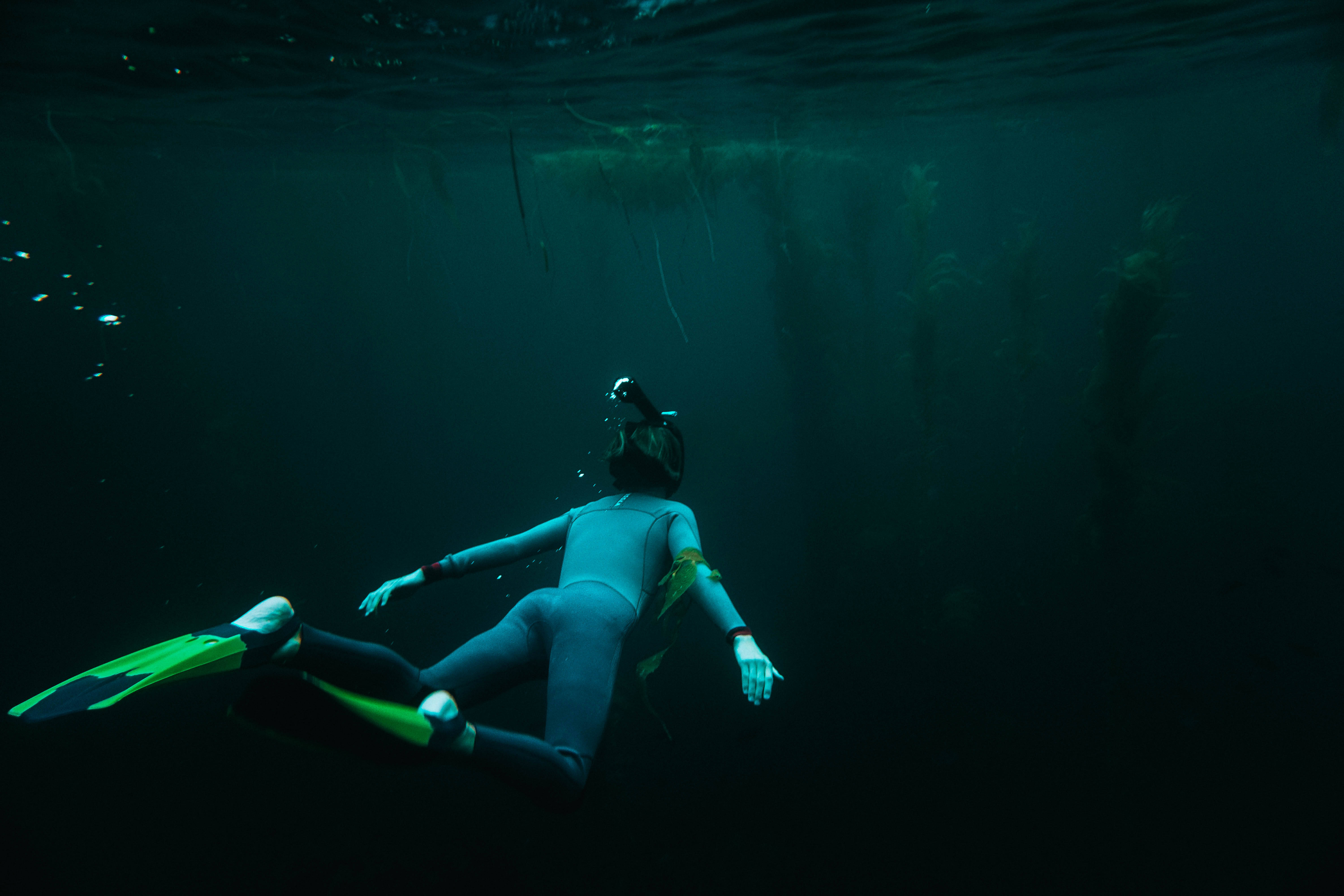Snorkeling 桌布 壁紙 — 一名穿著潛水衣的潛水員，帶著發光的腳蹼，在渾濁的綠色海水中滑過海藻森林下方。