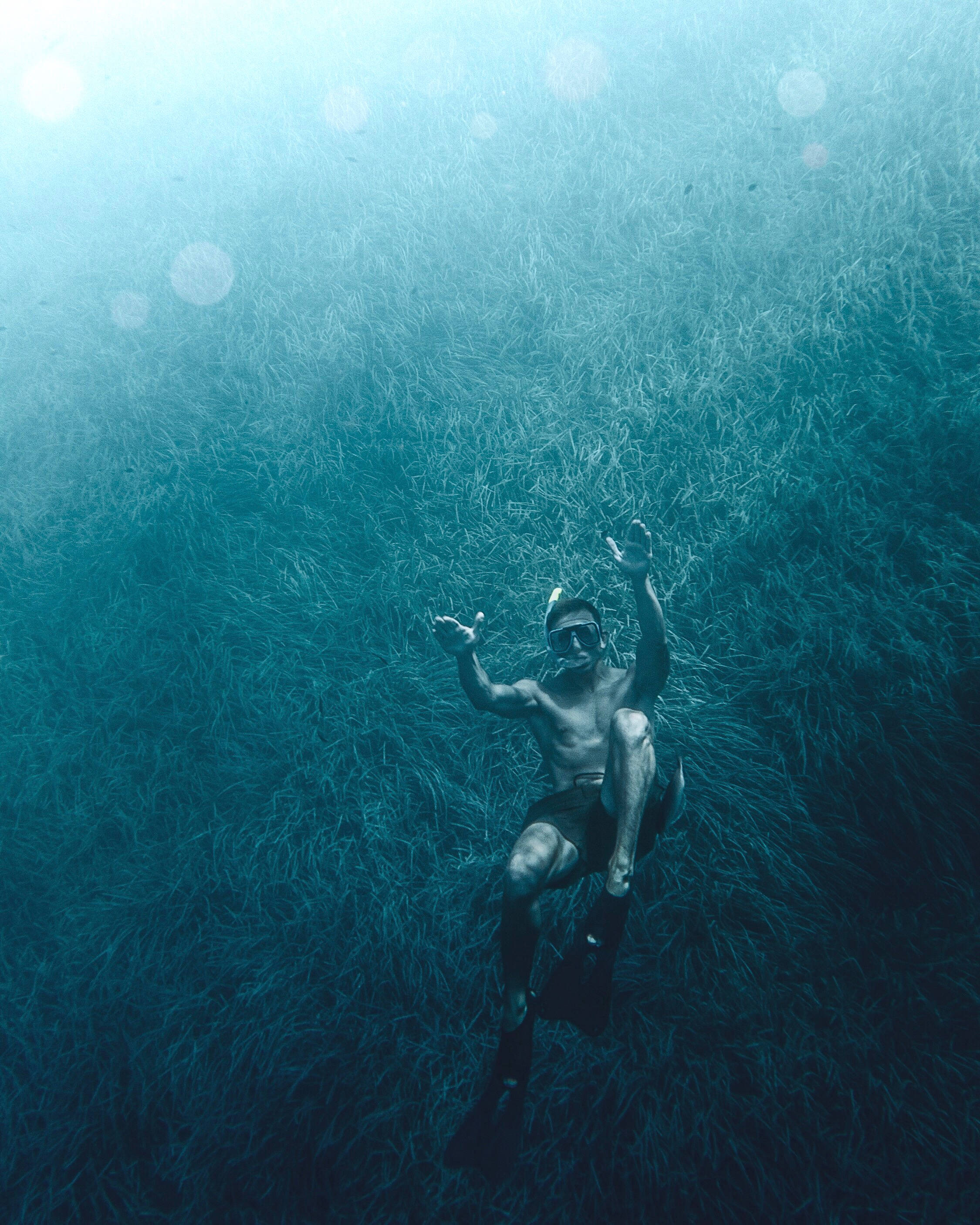 Snorkeling 桌布 壁紙 — 一名穿著潛水裝備的潛水員在陽光照耀的高大水草叢中平靜地漂浮。