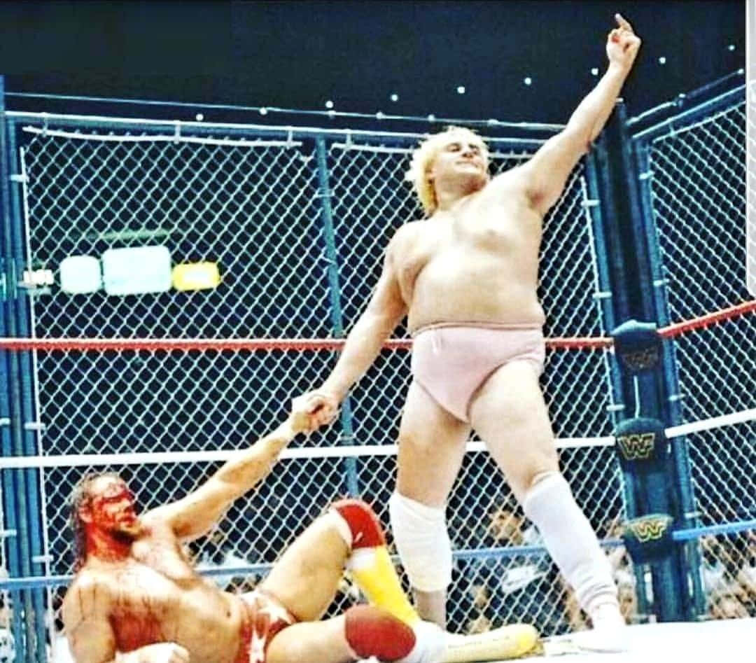 Randy Savage 桌布 壁紙 — 一名穿著粉紅色短褲的摔角手在鐵籠賽中握著對手的手，勝利地站著。