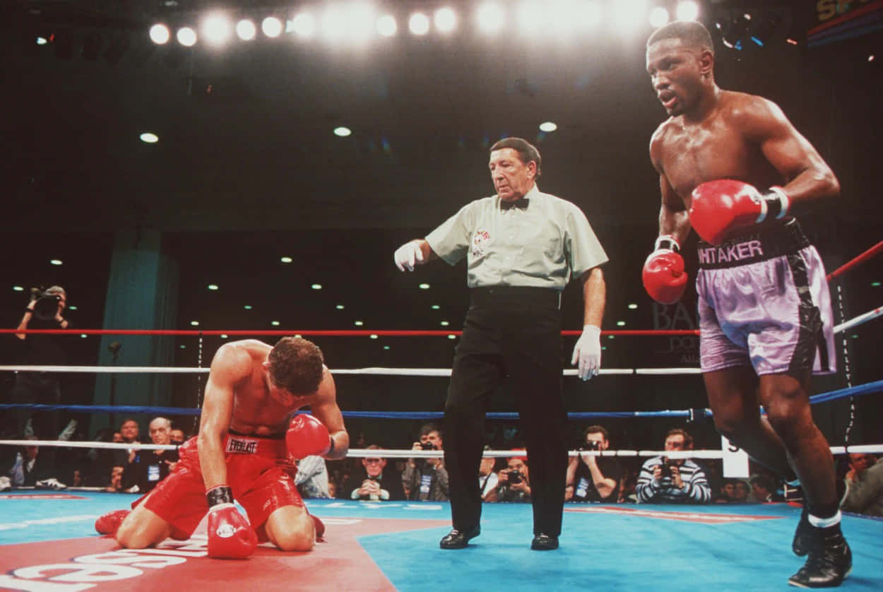 Boxing 桌布 壁紙 — 一名穿著紅色短褲的拳擊手在擂台上跪地敗陣，對手在明亮的場館燈光下站著勝利。