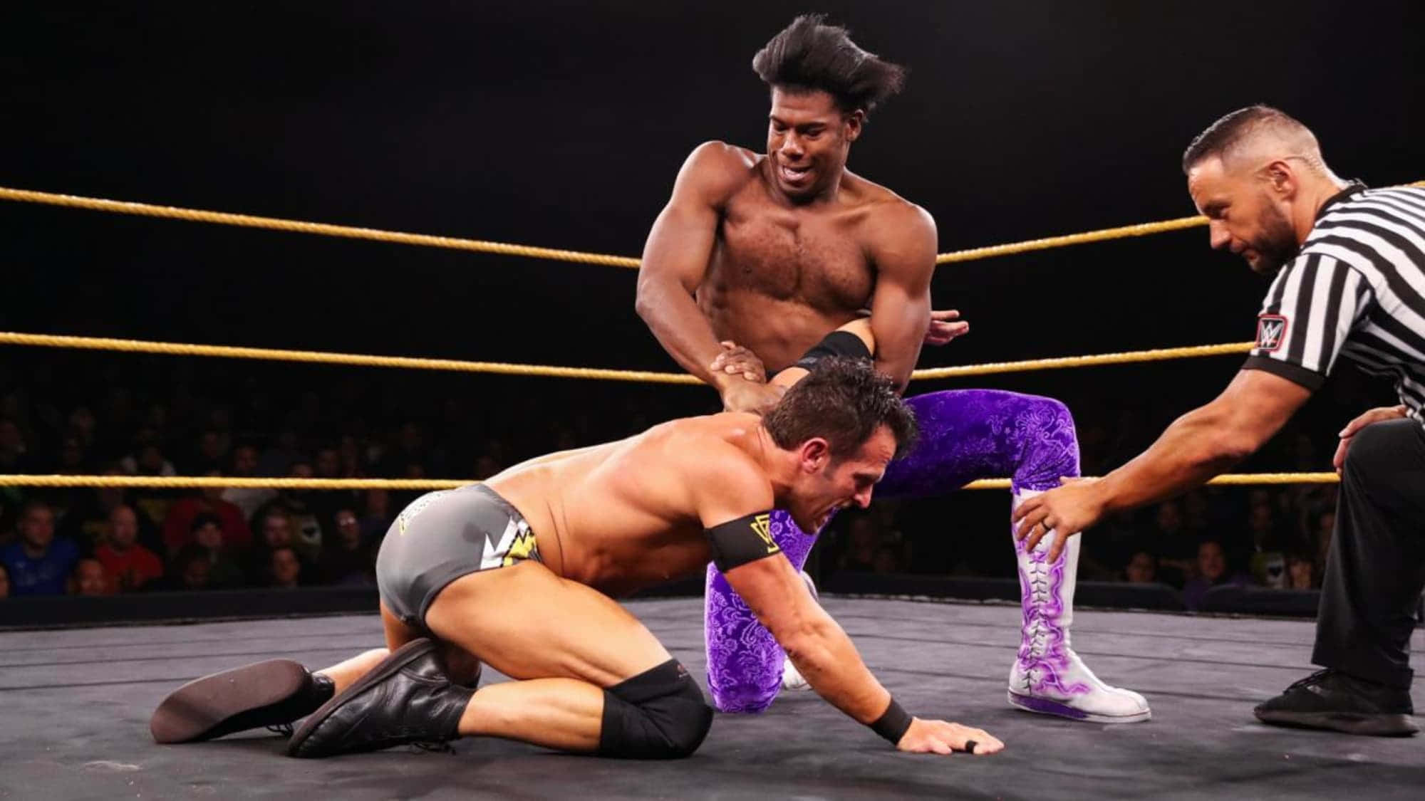 WWE 桌布 壁紙 — 一名穿著紫色緊身褲的摔角手將對手壓在摔角墊上，裁判正在檢查是否投降。