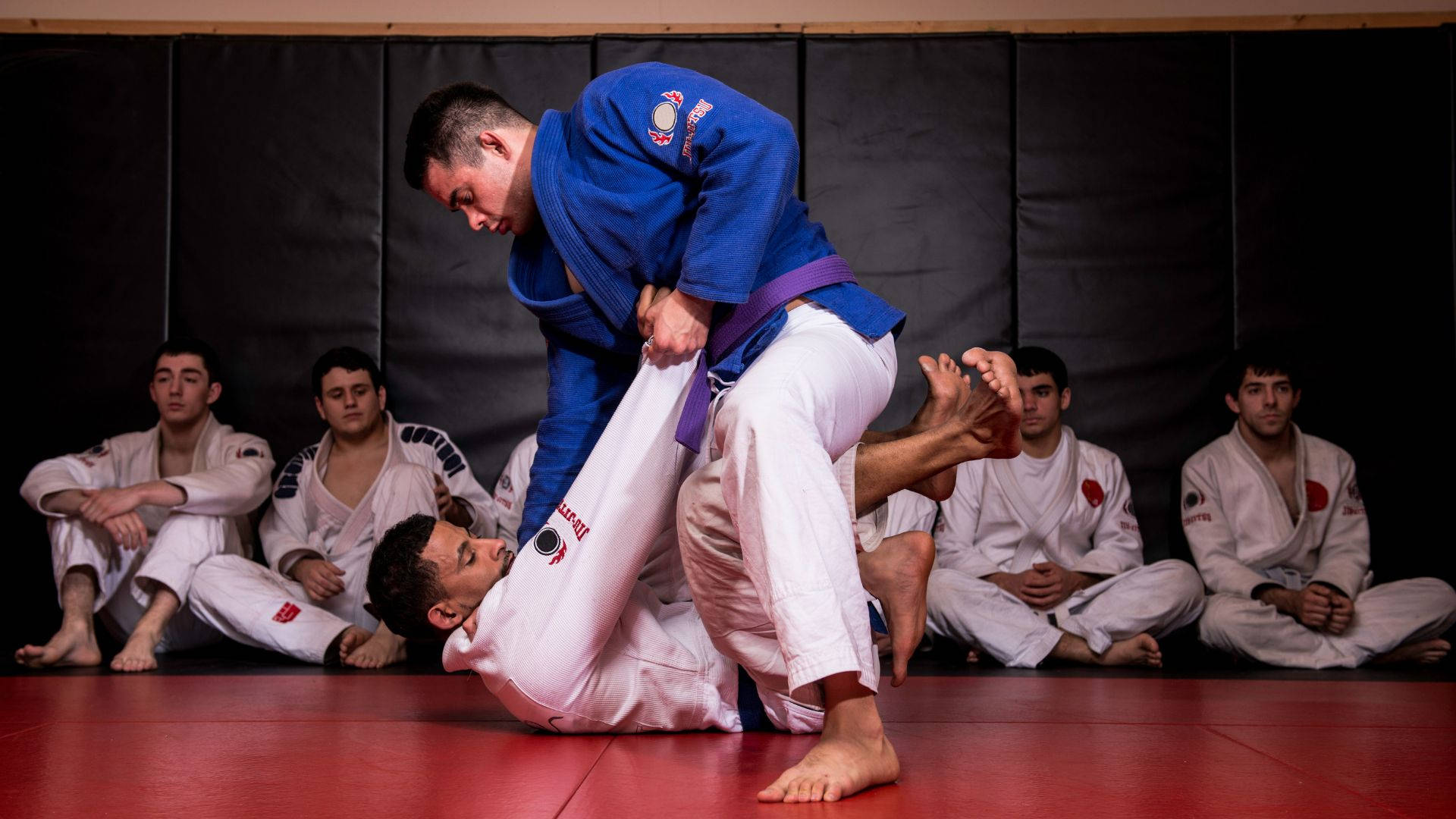 martial arts 桌布 壁紙 — 一名穿著藍色柔道服的柔道選手在同伴觀看下，對一名穿著白色柔道服的對手執行動態絞技。