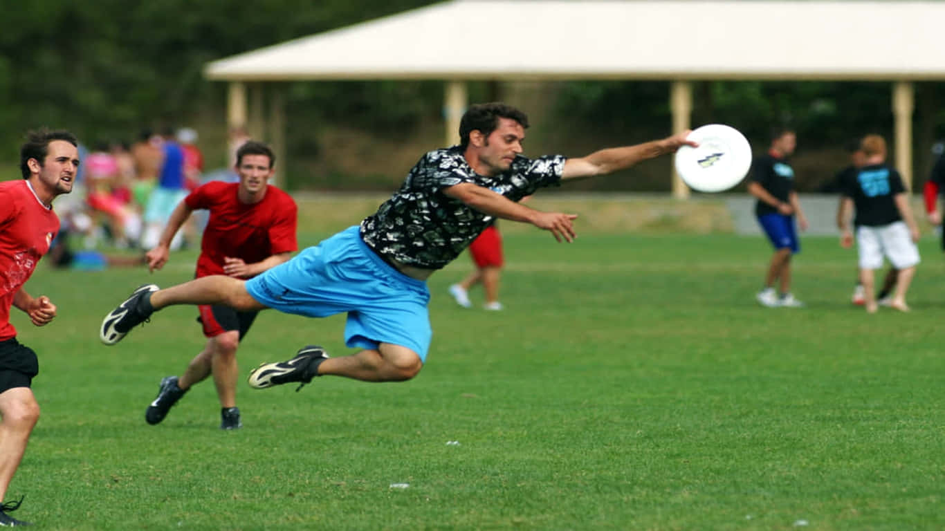 1366x768 Ultimate Frisbee 桌布 壁紙 — 一名穿著藍色短褲的男子在草地上躍起，伸手去接一個白色的飛盤，其他人則在後面追趕。