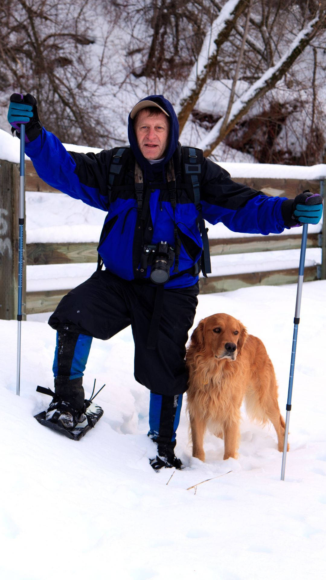 狗 桌布 壁紙 — 一名穿著藍色雪地裝備的男子和一隻黃金獵犬站在深雪中，旁邊是木柵欄，背景有光禿禿的樹木。