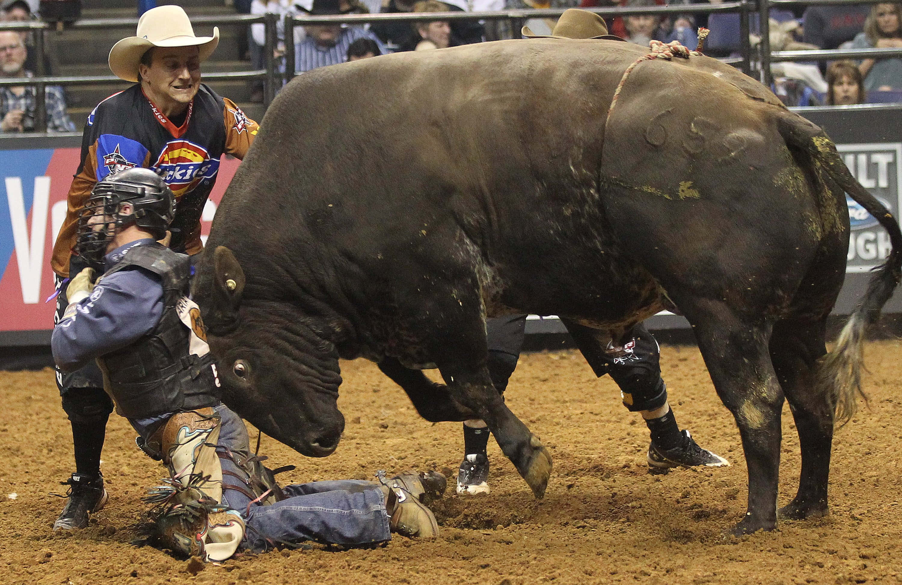 Bull Rider 桌布 壁紙 — 一名穿著防護裝備的鬥牛士在牛仔競技場上努力營救一名從衝鋒的公牛上摔下來的騎手。