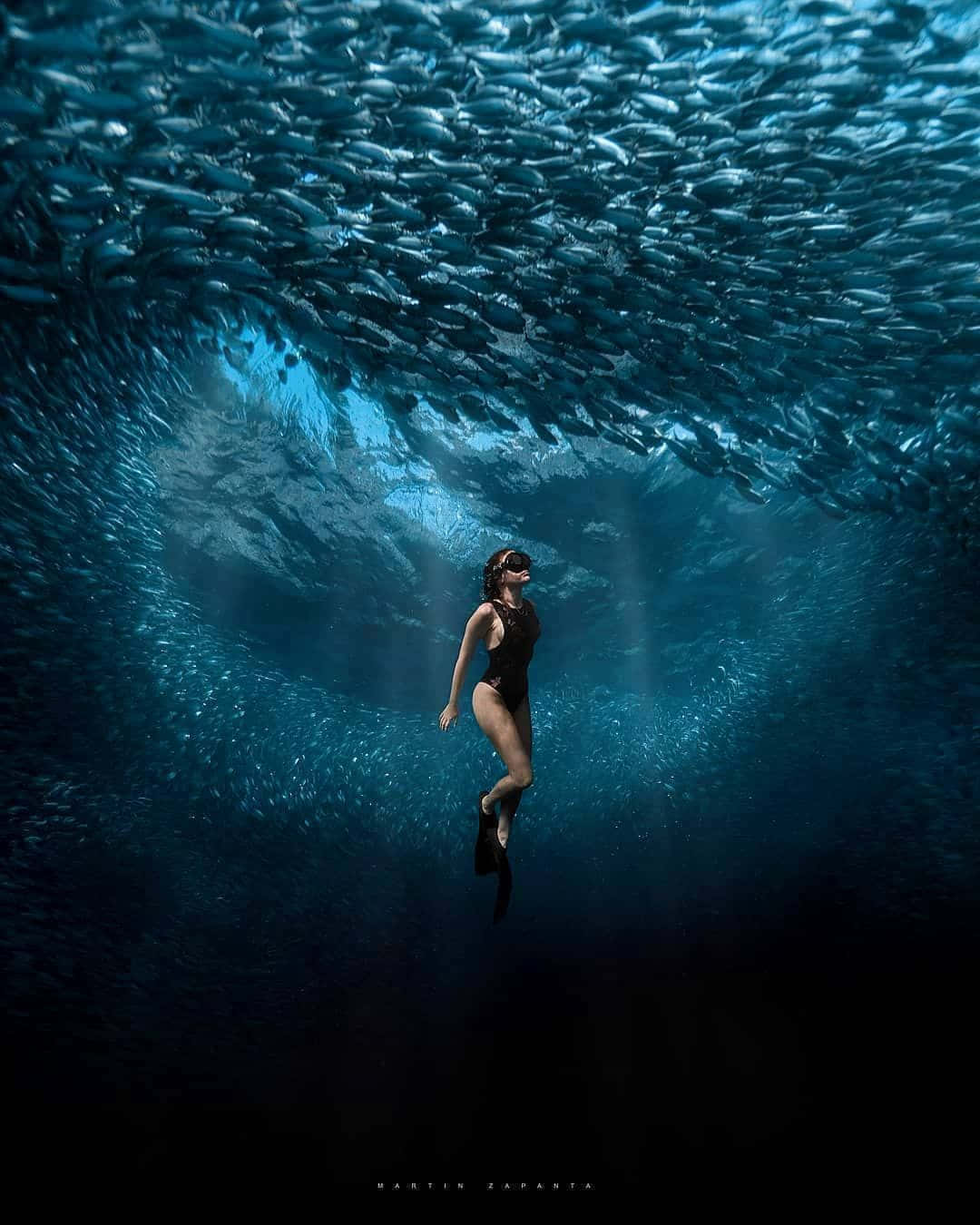 Scary Underwater 桌布 壁紙 — 一名穿著黑色泳衣的潛水員在深藍色海洋中，於一大群旋轉的銀色魚群下方寧靜地漂浮。