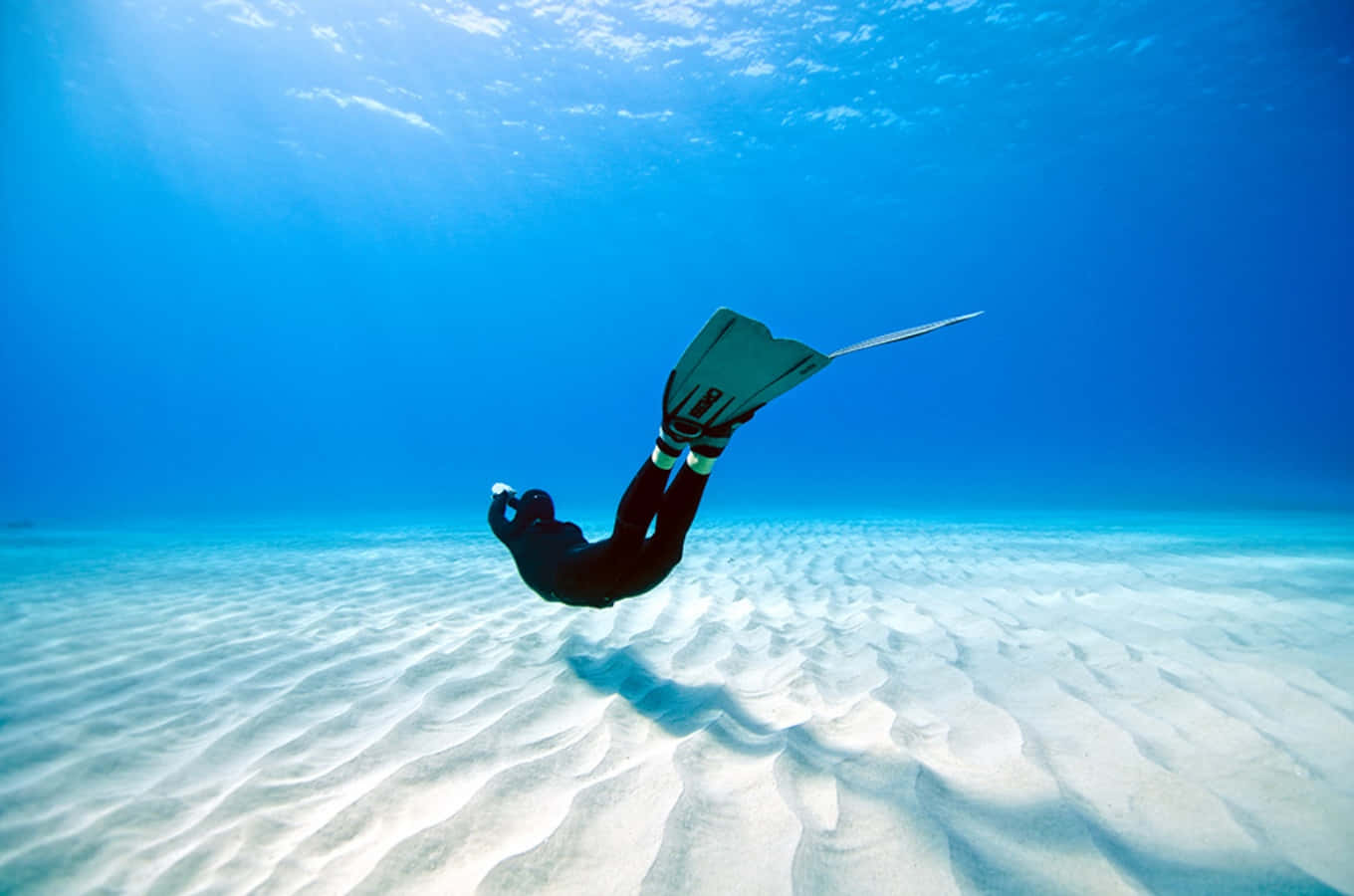 diving 桌布 壁紙 — 一名穿著黑色潛水衣的潛水員在陽光照射的沙質海底上優雅地滑行，上方是碧綠色的海水。