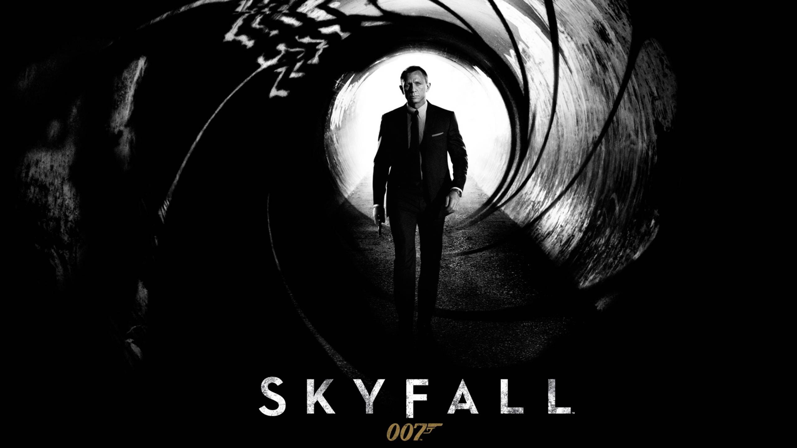 Daniel Craig 桌布 壁紙 — 一名穿西裝的男子站在槍管圓形視野的中心，下方有黑白 'SKYFALL' 文字。