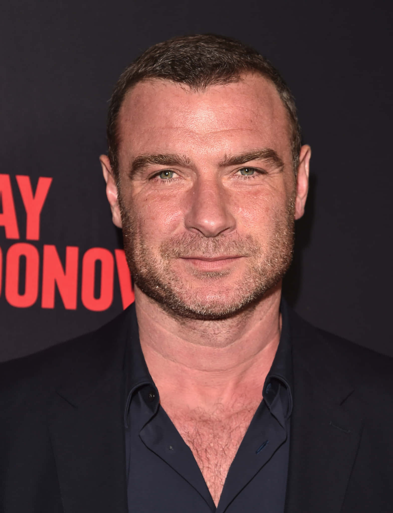 Liev Schreiber 桌布 壁紙 — 一名綠眼鬍渣男士的特寫肖像，身穿深色西裝和襯衫，背景為黑色並帶有紅色文字。