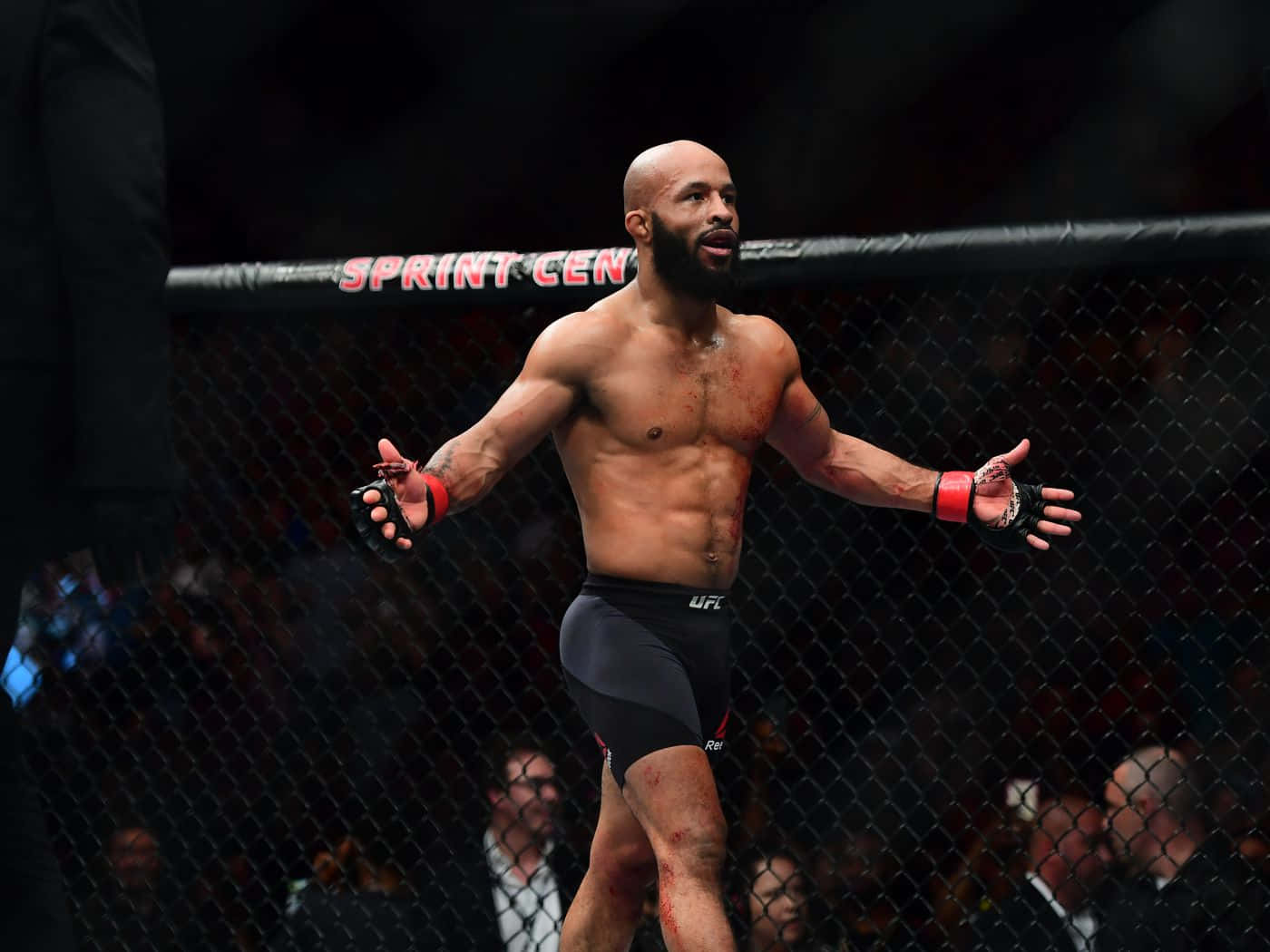 運動 桌布 壁紙 — 一名肌肉發達、雙腿沾血的戰士在UFC八角籠內張開雙臂慶祝勝利。