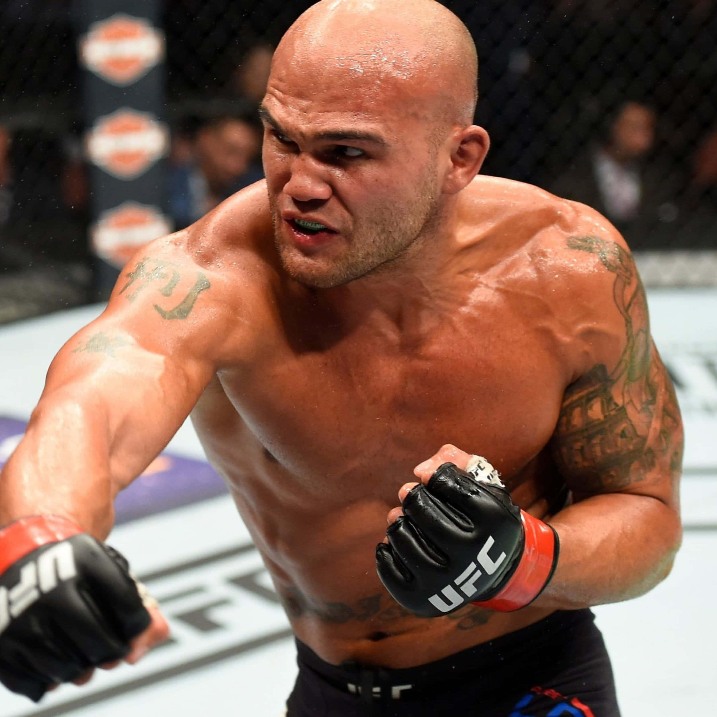 UFC 桌布 壁紙 — 一名肌肉發達的光頭拳手，身上有刺青並戴著UFC手套，在綜合格鬥比賽中於八角籠內向前猛衝。