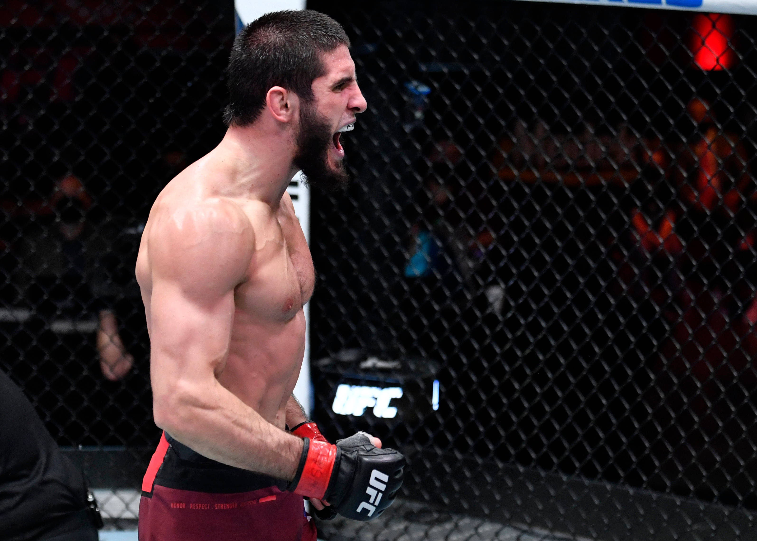 UFC 桌布 壁紙 — 一名肌肉發達的拳手在UFC八角籠內咆哮勝利，鐵絲網後面是模糊的人群。