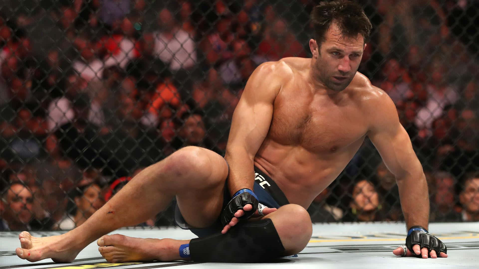 UFC 桌布 壁紙 — 一名肌肉發達的拳手在殘酷的MMA比賽後，疲憊地坐在八角籠地上，籠後的人群模糊不清。