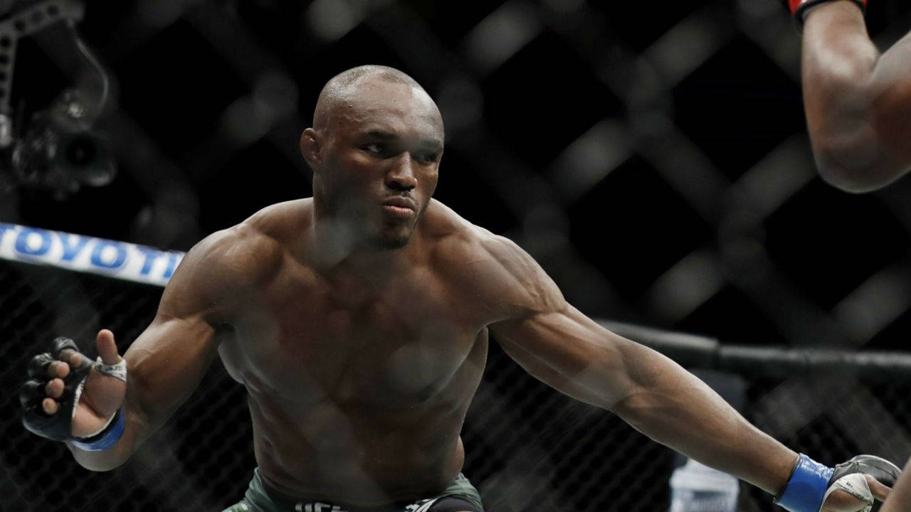 Fighting 桌布 壁紙 — 一名肌肉發達的拳手在籠中，於明亮的場館燈光下，在綜合格鬥比賽中怒目而視。