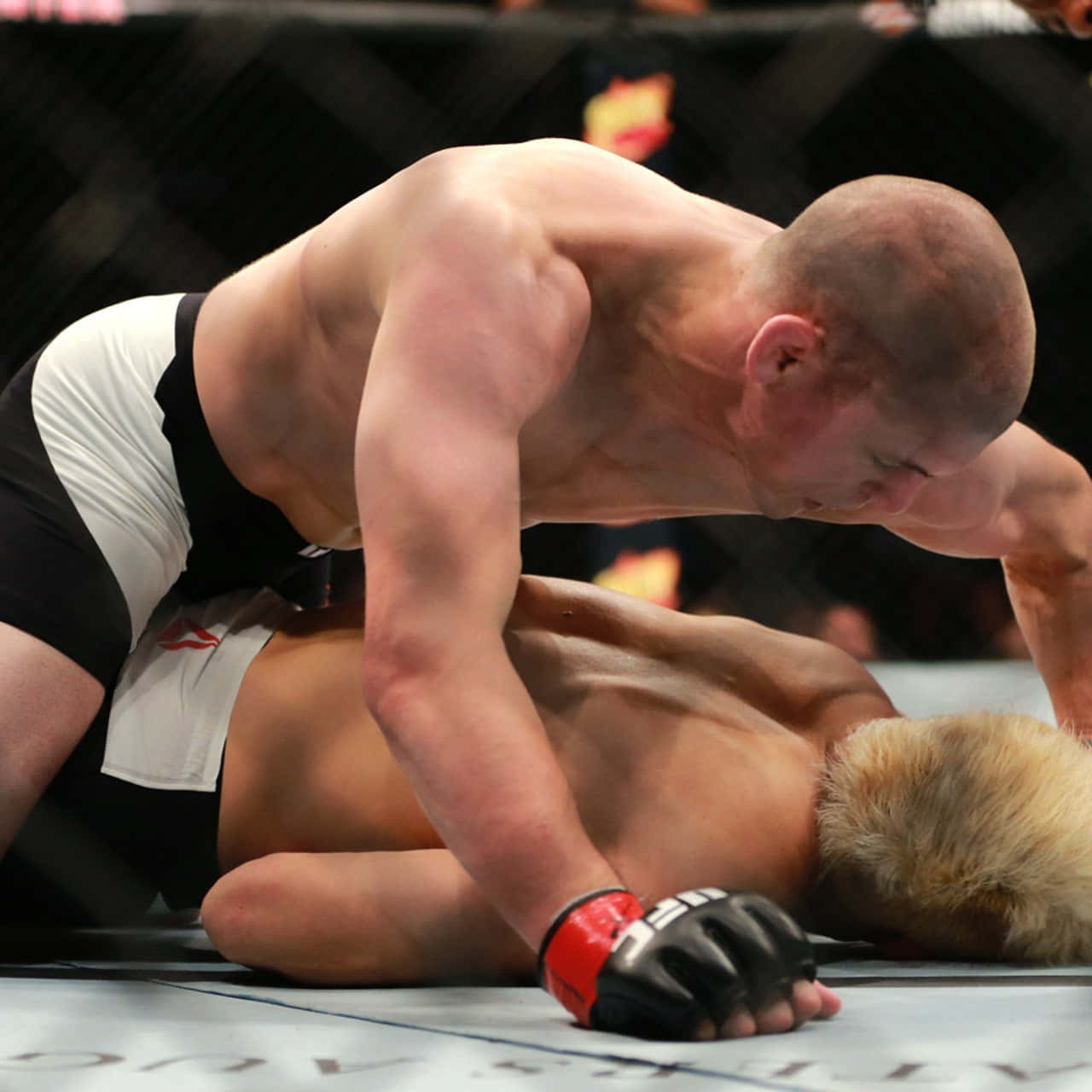 UFC 桌布 壁紙 — 一名肌肉發達的拳手穿著黑白短褲，在八角籠內的墊子上壓制對手。