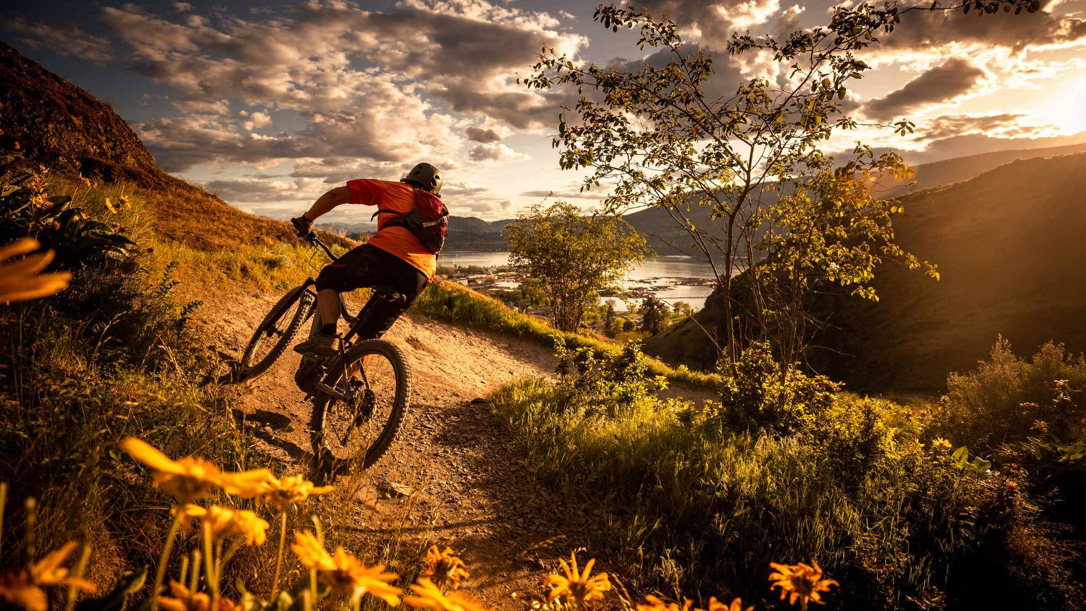 Mountain Bike 桌布 壁紙 — 一名自行車騎士在日落時分沿著泥土路向上騎行，下方有金色野花和山谷小鎮。