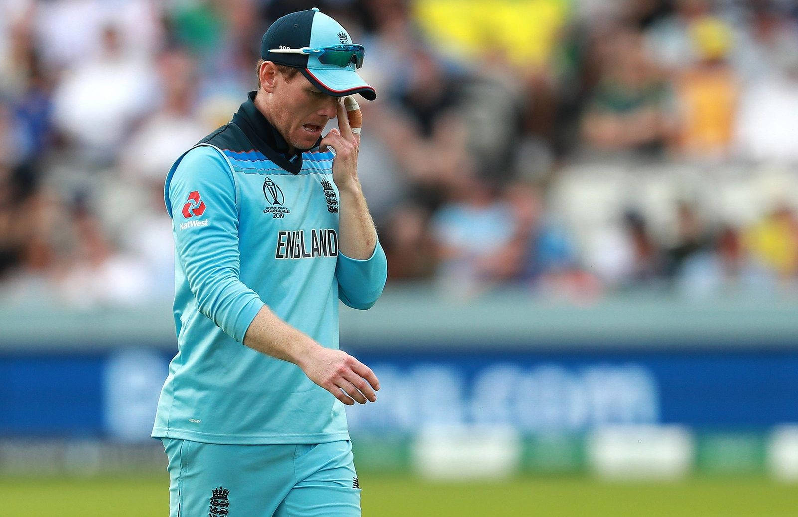 eoin morgan 桌布 壁紙 — 一名英格蘭板球運動員身穿淺藍色制服，在陽光明媚的場地上用手遮臉低頭，背景有模糊的觀眾。