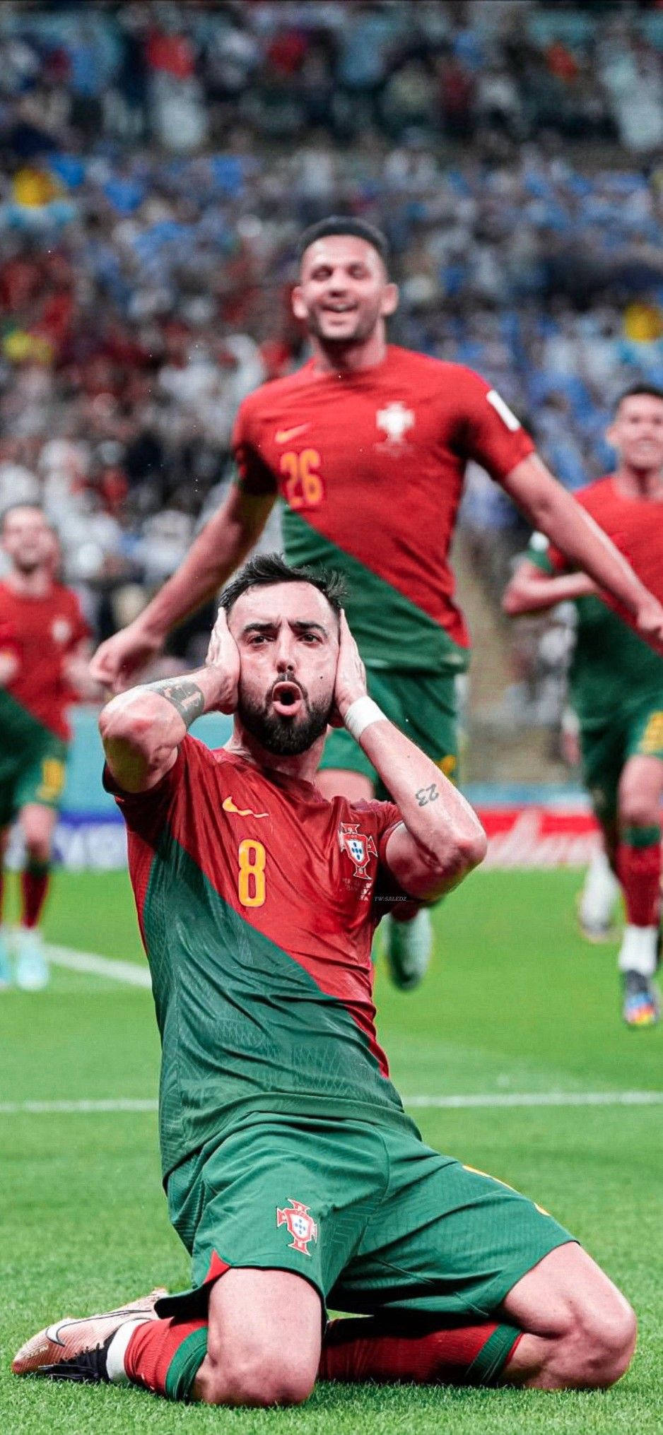 Portugal 桌布 壁紙 — 一名葡萄牙足球員震驚地跪在草地上，雙手掩耳，隊友在他身後慶祝。