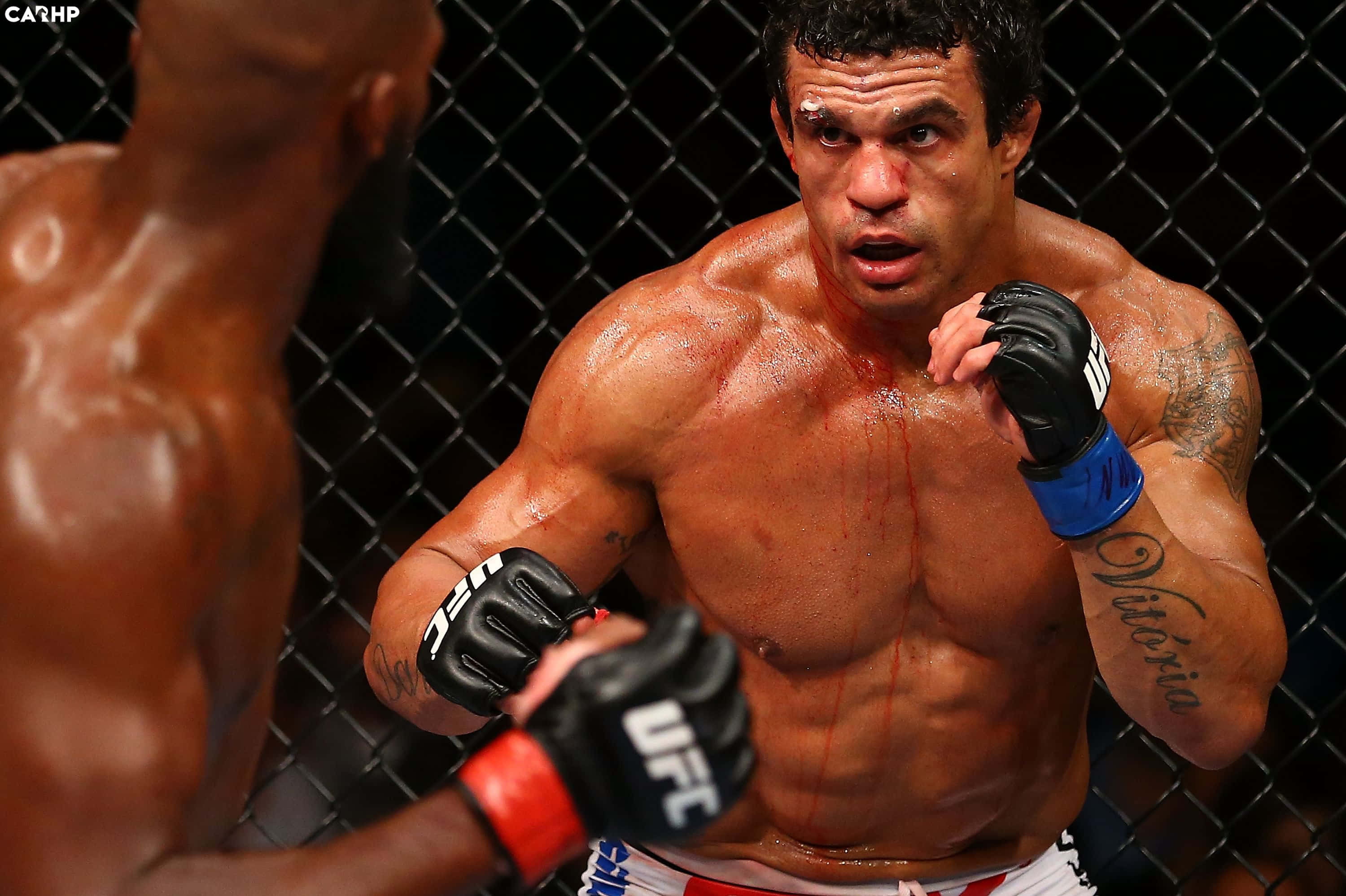 UFC 桌布 壁紙 — 一名血跡斑斑的MMA拳手，手臂有刺青，戴著UFC手套，在八角籠內進行殘酷比賽時凝視著對手。