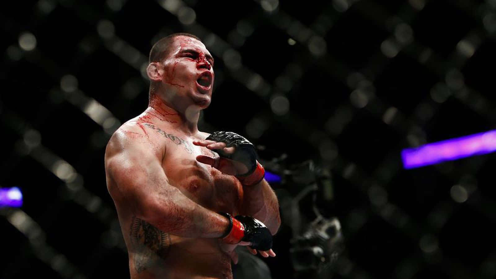 UFC 桌布 壁紙 — 一名血跡斑斑的MMA拳手在八角籠中勝利咆哮，身後是模糊的鐵絲網圍欄。