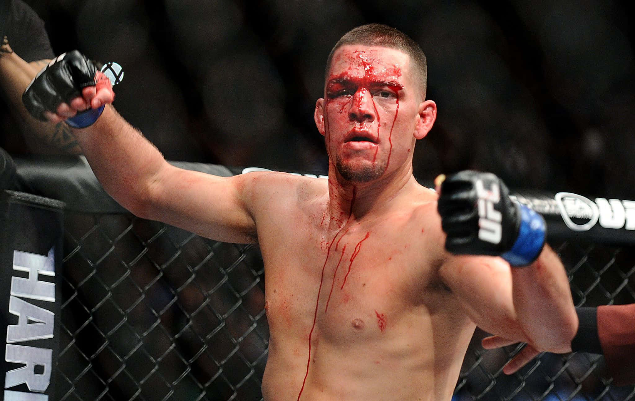 UFC 桌布 壁紙 — 一名血跡斑斑的MMA拳手在明亮的競技場燈光下，於UFC八角籠內高舉拳頭慶祝勝利。