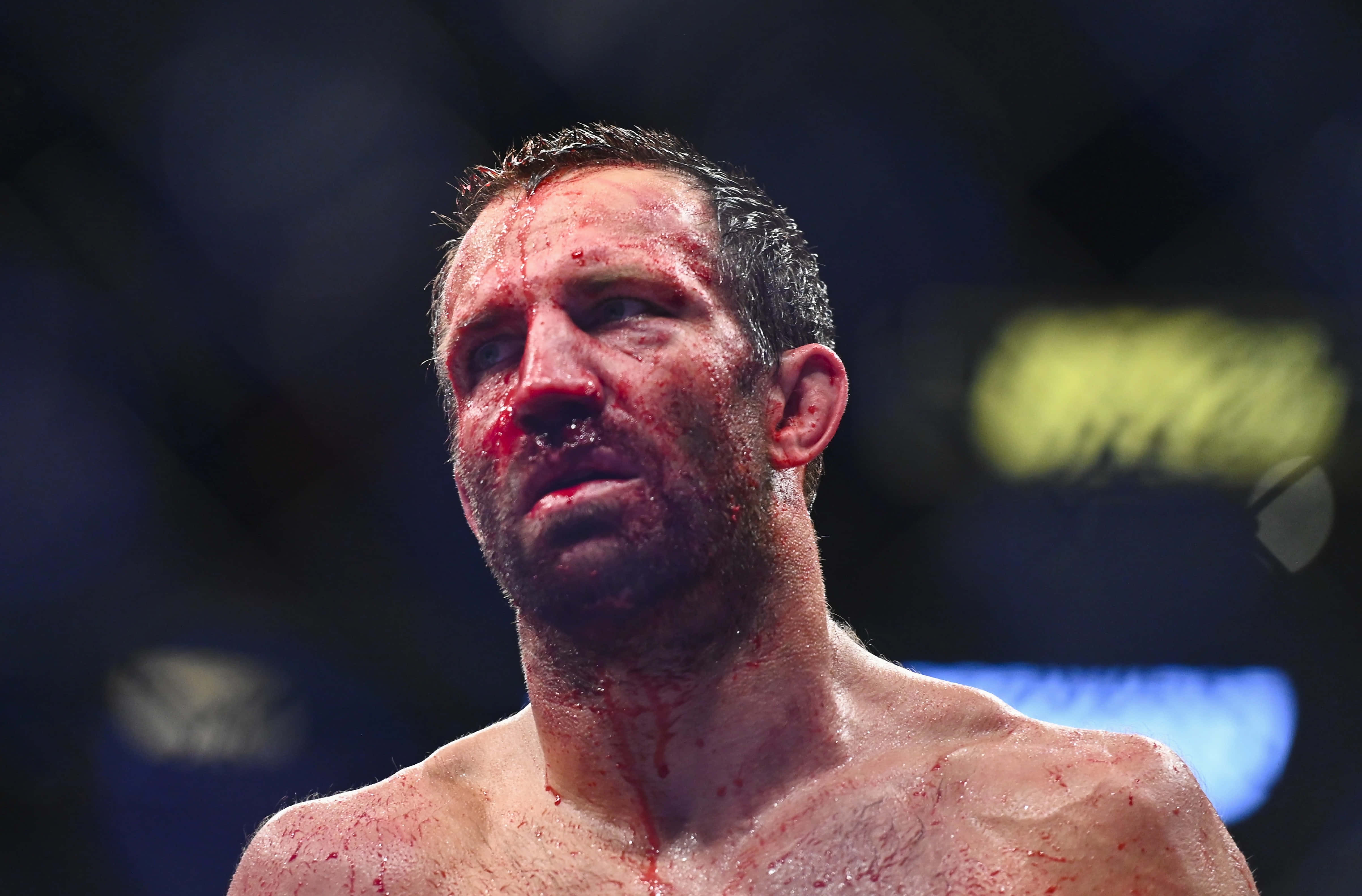 MMA 桌布 壁紙 — 一名血跡斑斑的戰士在昏暗的八角籠中，在一場殘酷的比賽後向上凝視。
