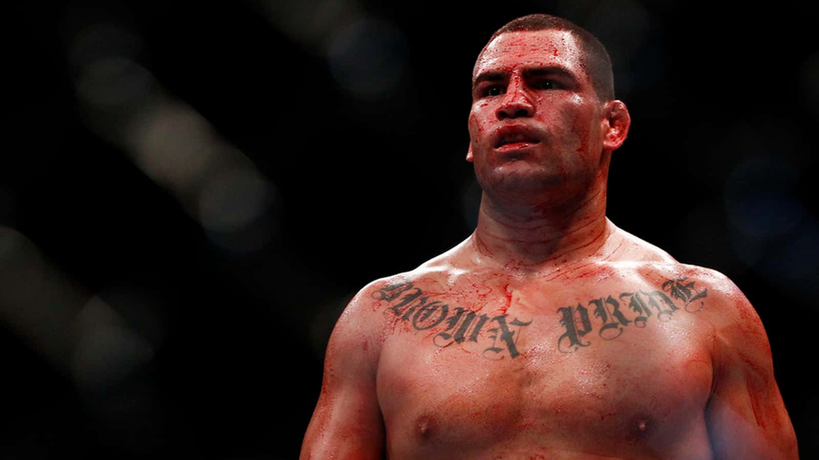 UFC 桌布 壁紙 — 一名血跡斑斑的戰士帶有「MOM PRIDE」刺青，在昏暗的八角籠內經過一場殘酷比賽後向上凝視。