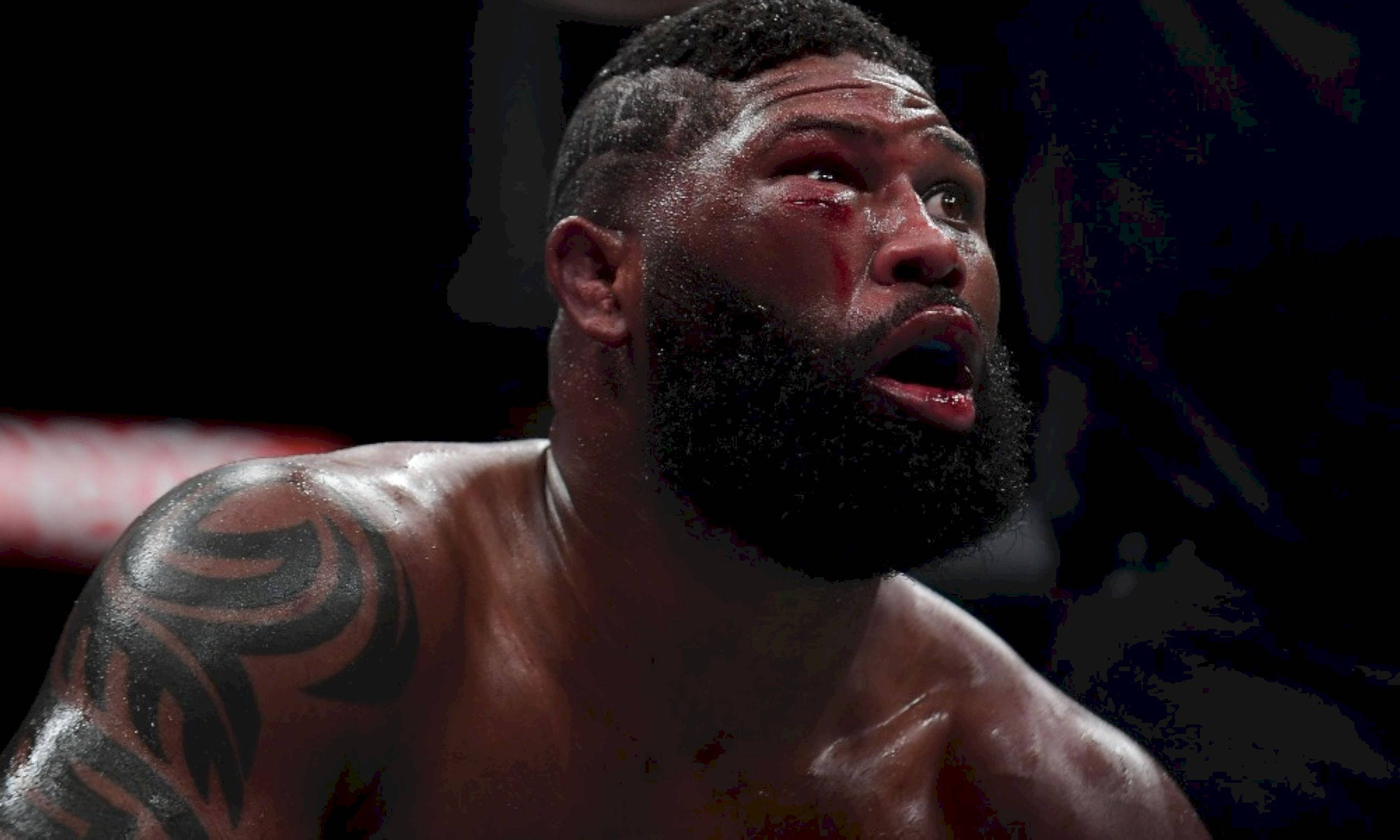 UFC 桌布 壁紙 — 一名血跡斑斑的摔角手，身上有部落紋身，在燈光昏暗的擂台上專注地凝視。